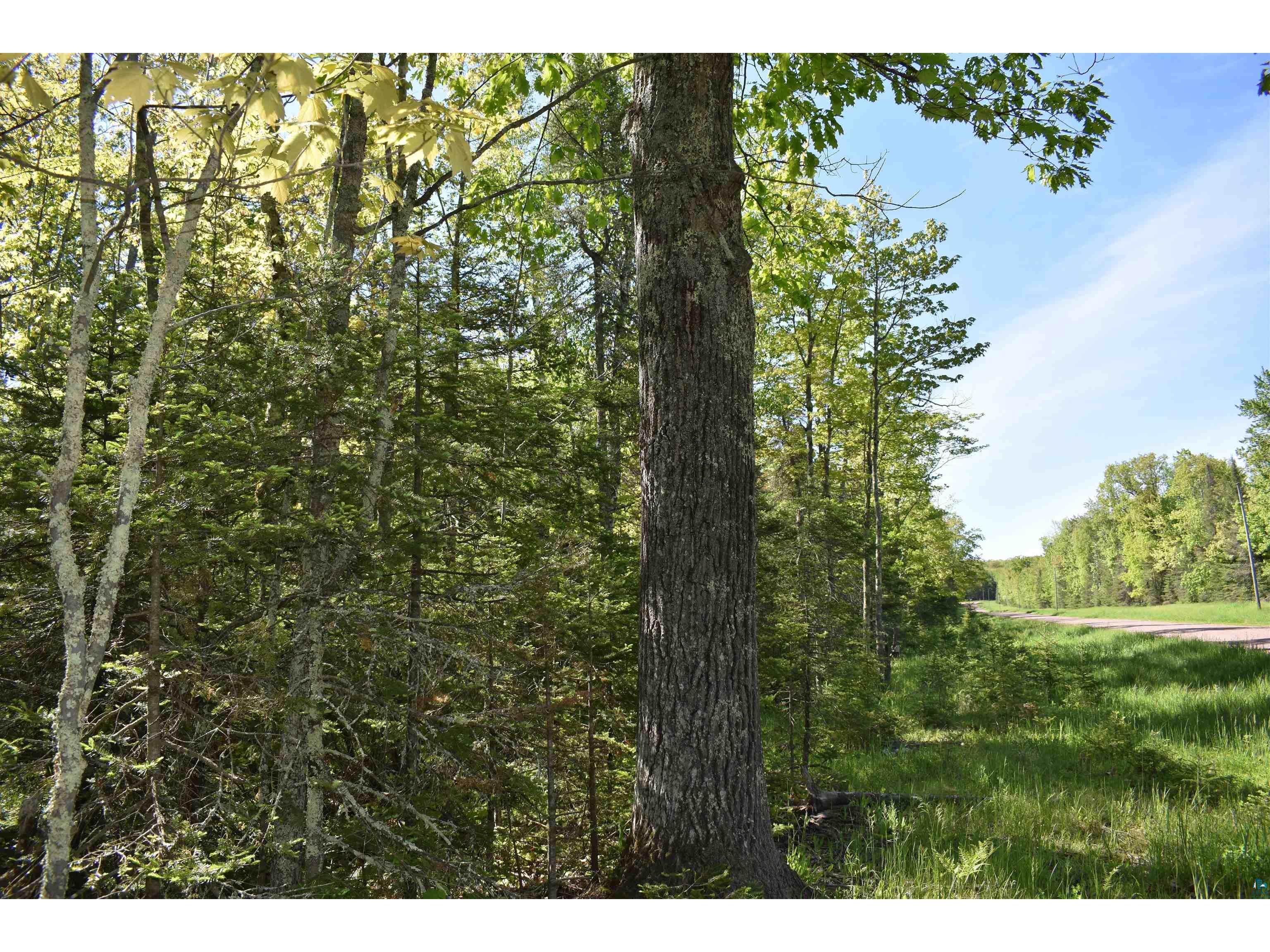 60XXX Andrew Anderson Rd Mason WI 54856 6113024 image1