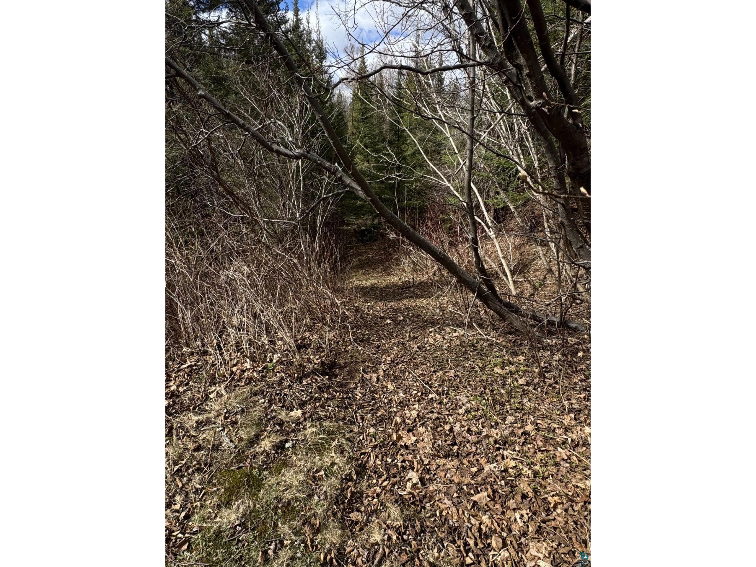 6146 Highway 61 Silver Bay MN 55614 6125232 image48