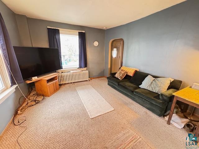 620 N 11th Ave E Duluth MN 55806 6125380 image9