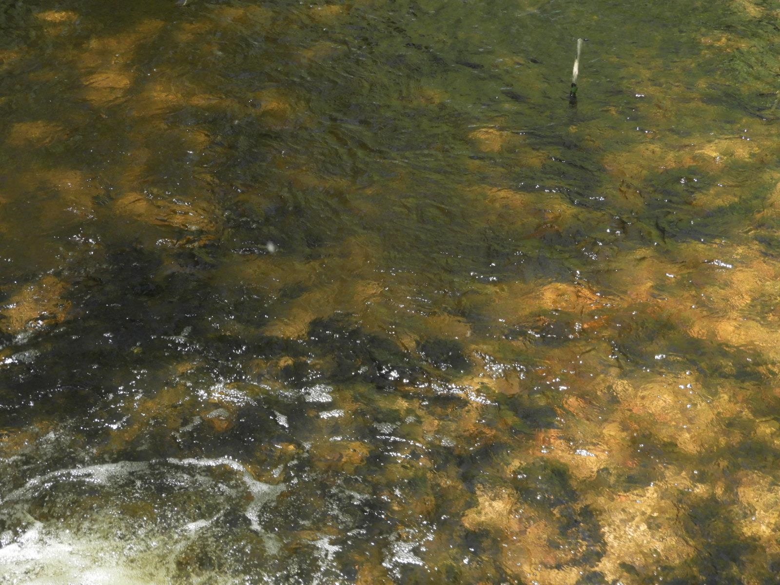 625X Iron Lake Rd Iron River WI 54847 - Iron River 6106900 image2