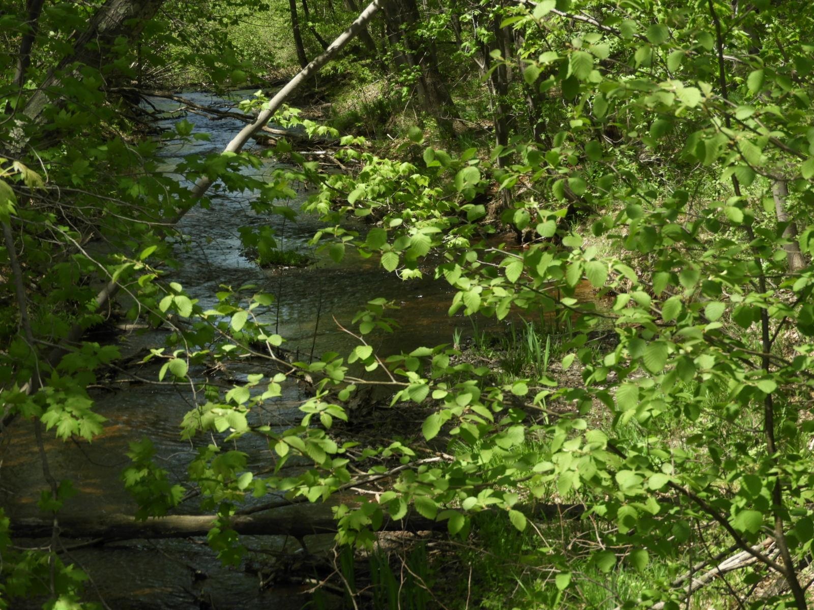 625X Iron Lake Rd Iron River WI 54847 - Iron River 6106900 image3