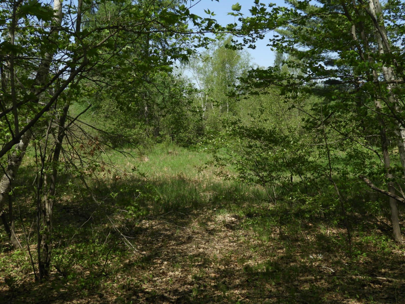 625X Iron Lake Rd Iron River WI 54847 - Iron River 6106900 image7