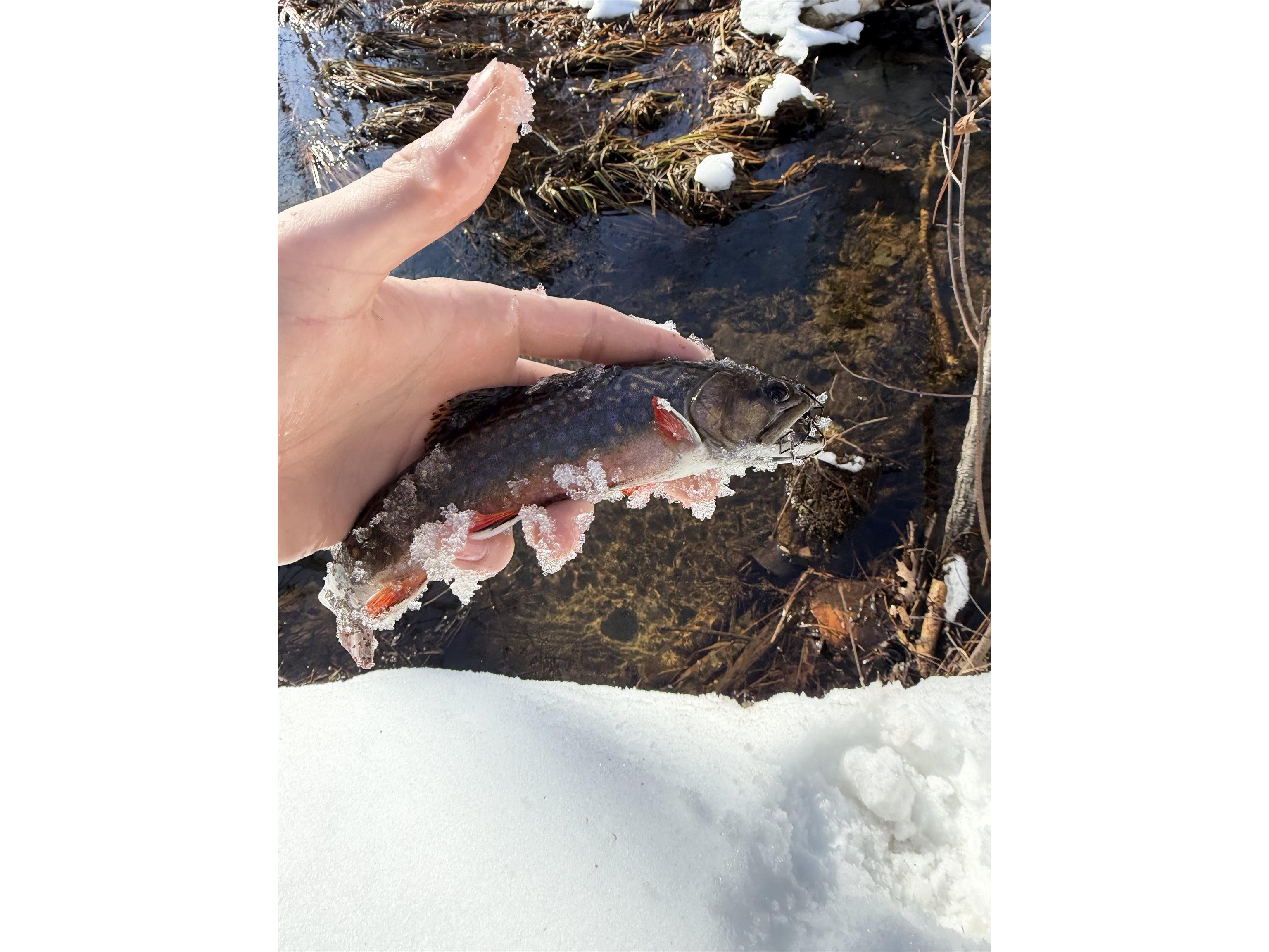 625X Iron Lake Rd Iron River WI 54847 - Iron River 6106900 image8