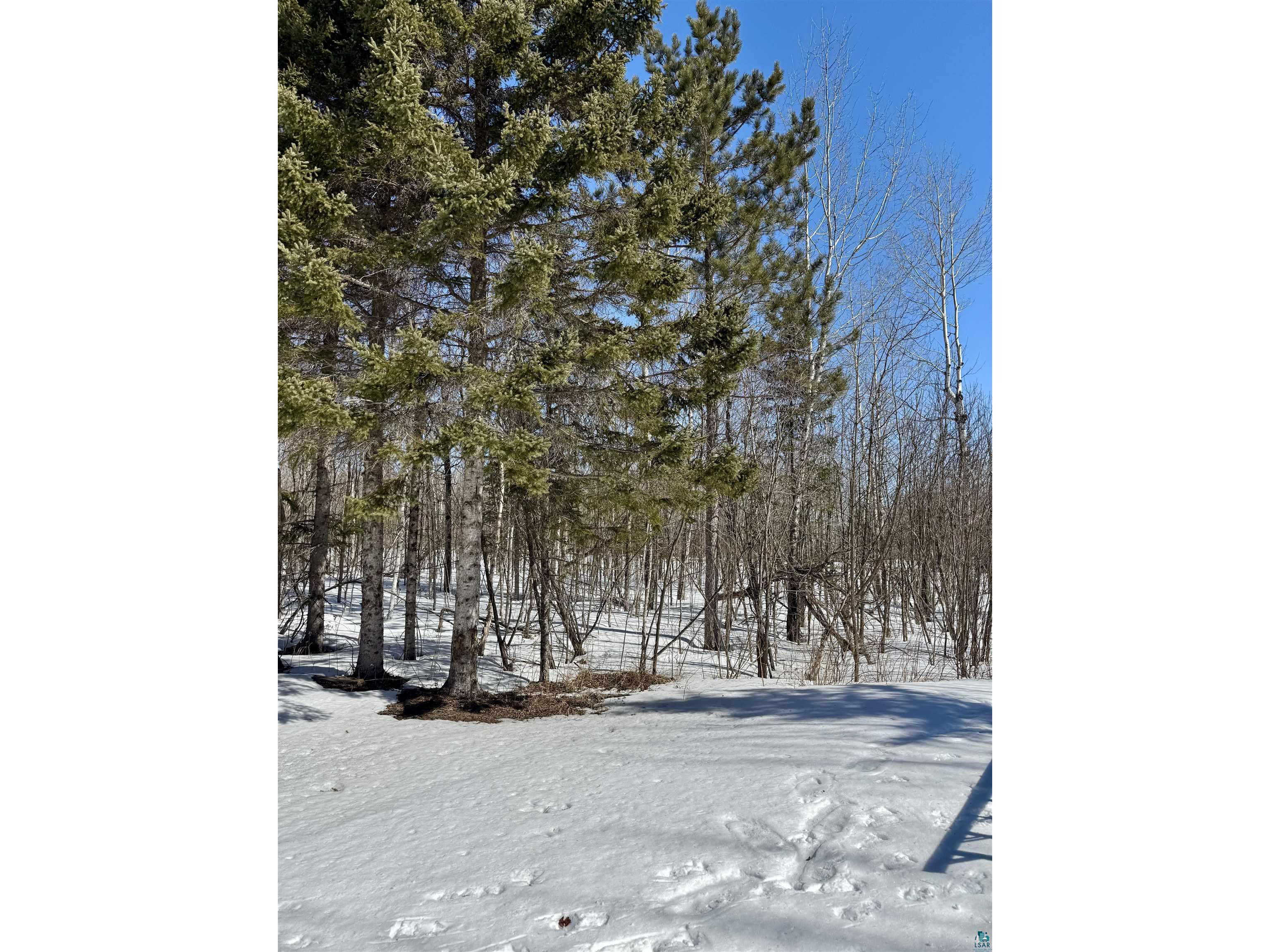 6269 HWY 1 Finland MN 55603 6124627 image23