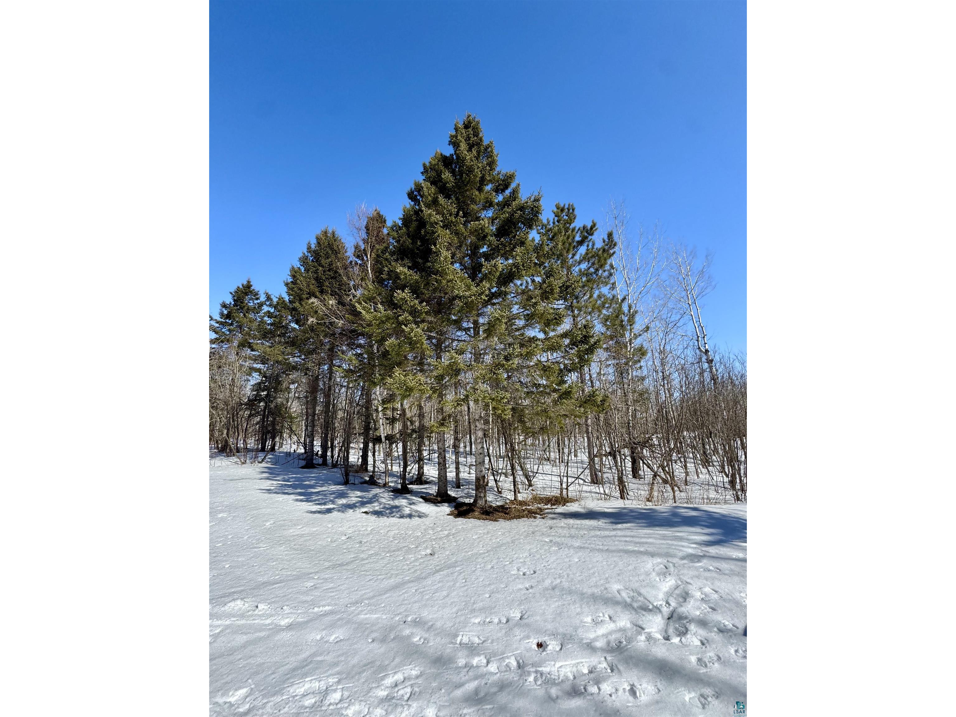 6269 HWY 1 Finland MN 55603 6124627 image24