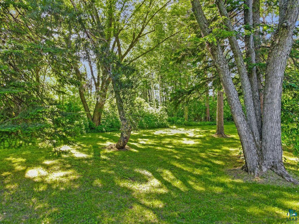 63 Bruce Cr Esko MN 55733 6126288 image49