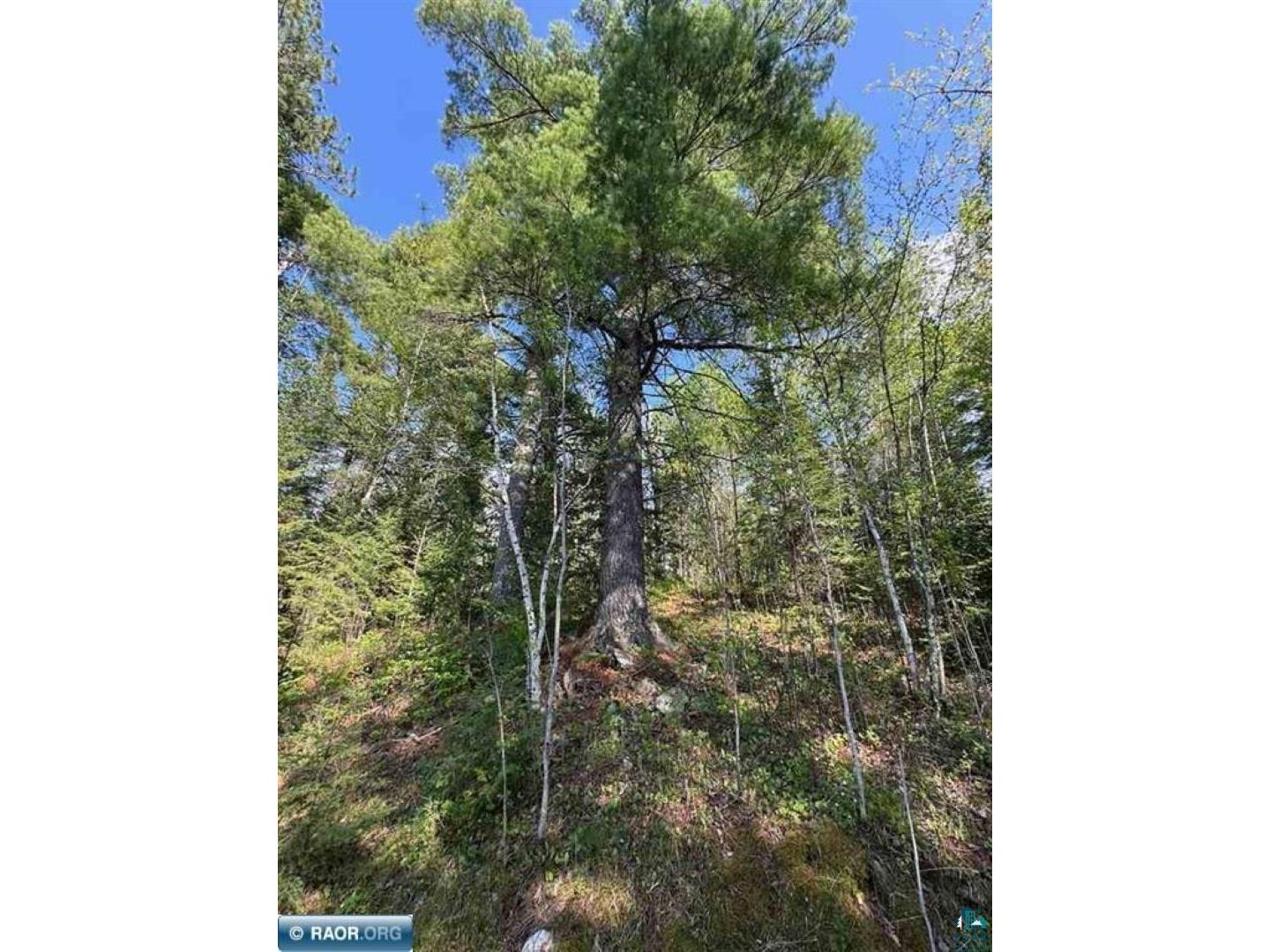 6309 Winston Rd Tower MN 55790 - Vermilion 6125670 image38