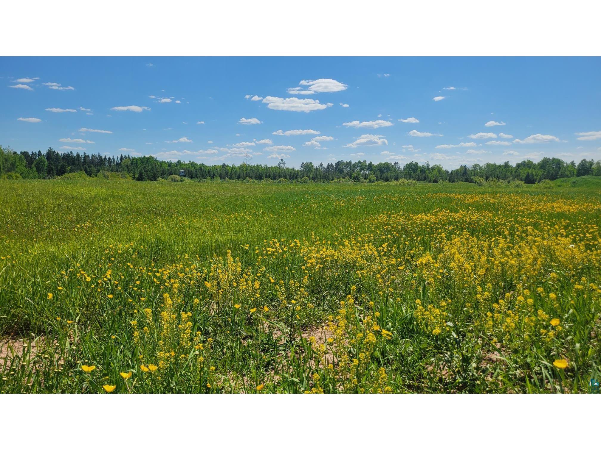 63909 Santama Rd Ashland WI 54806 6126219 image6