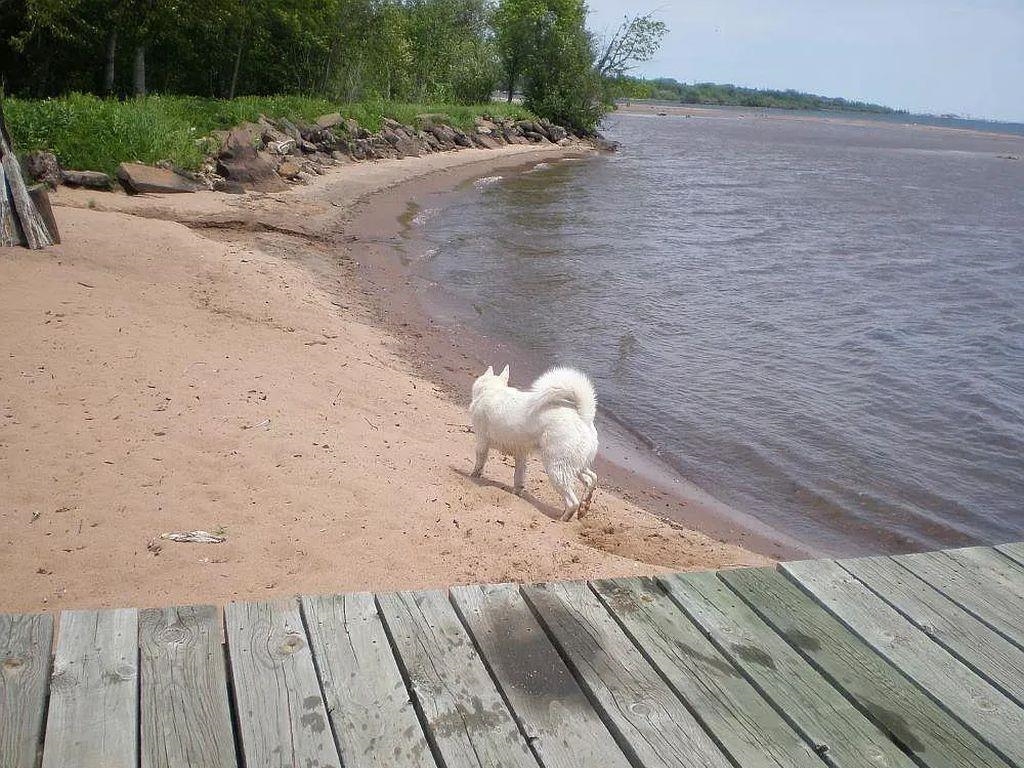 6431 Summit Ave Washburn WI 54891 - Lake Superior 6123181 image13