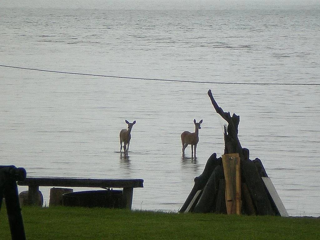 6431 Summit Ave Washburn WI 54891 - Lake Superior 6123181 image16