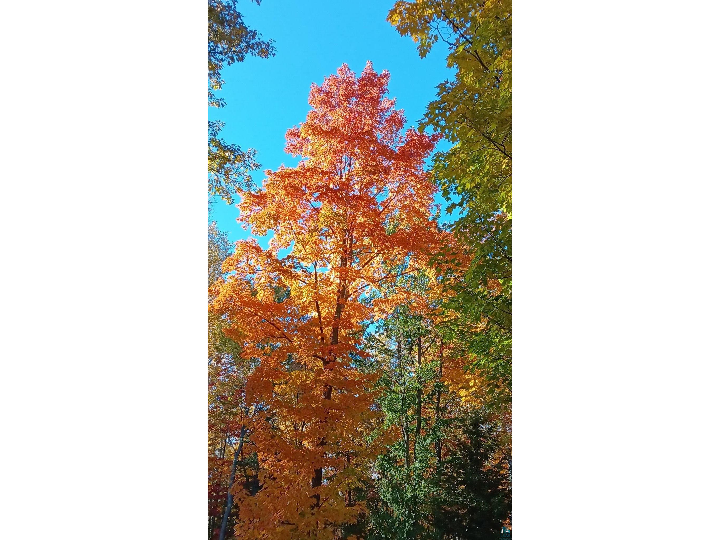 6491 S Old Lyman Lake Rd South Range WI 54874 6124285 image36