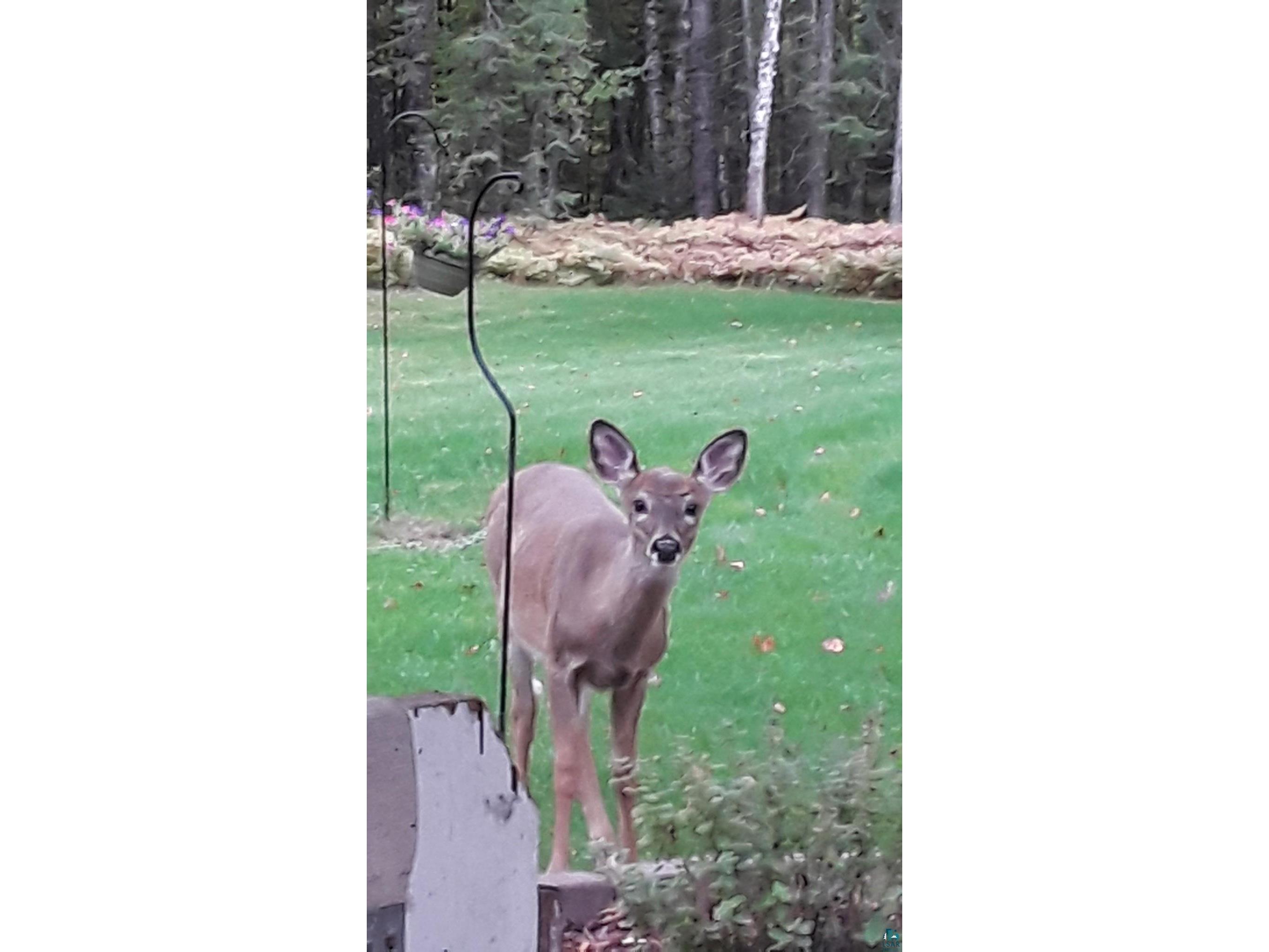 6491 S Old Lyman Lake Rd South Range WI 54874 6124285 image46