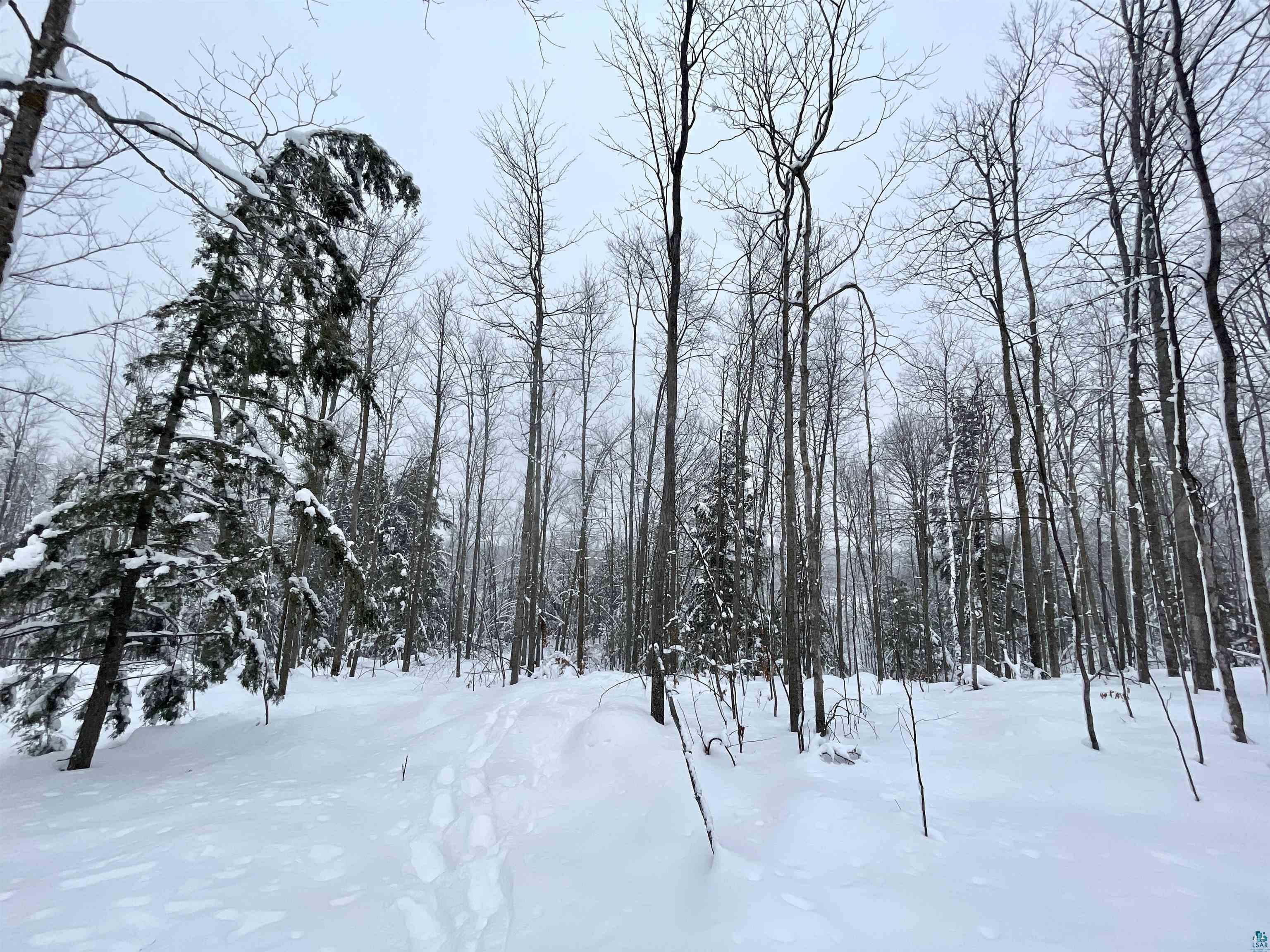 65 Acres on Golf Course Rd Highbridge WI 54846 6106739 image1