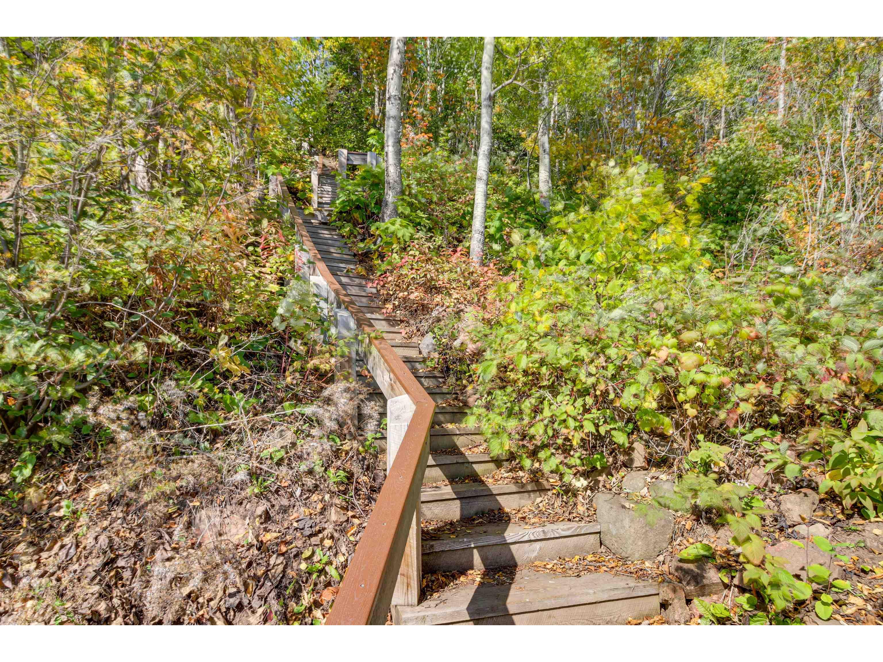 6508 Aspenwood Dr Tofte MN 55615 - Lake Superior 6123722 image38