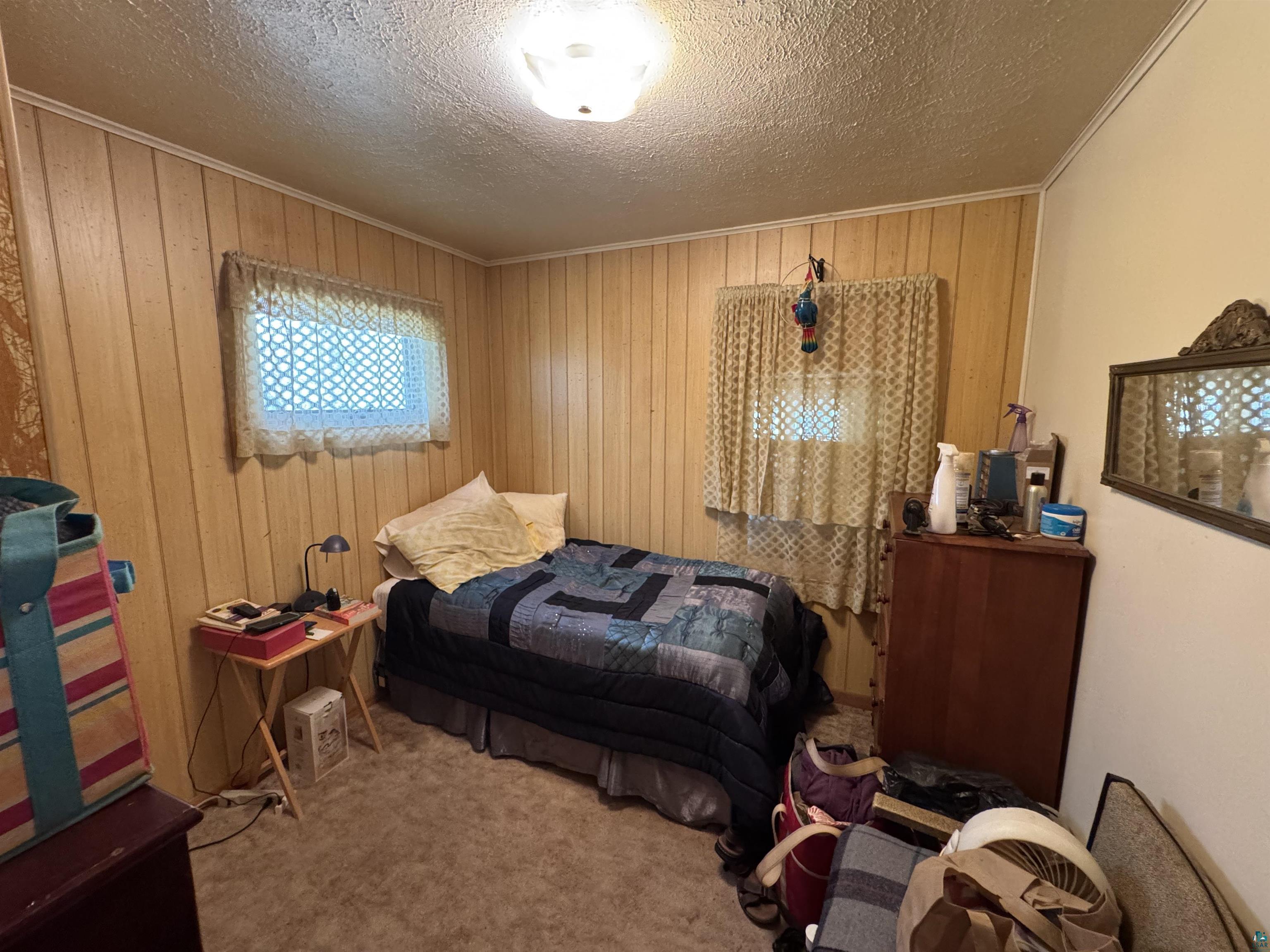 65695 South Point Dr Iron River WI 54847 - Millicent 6125473 image16