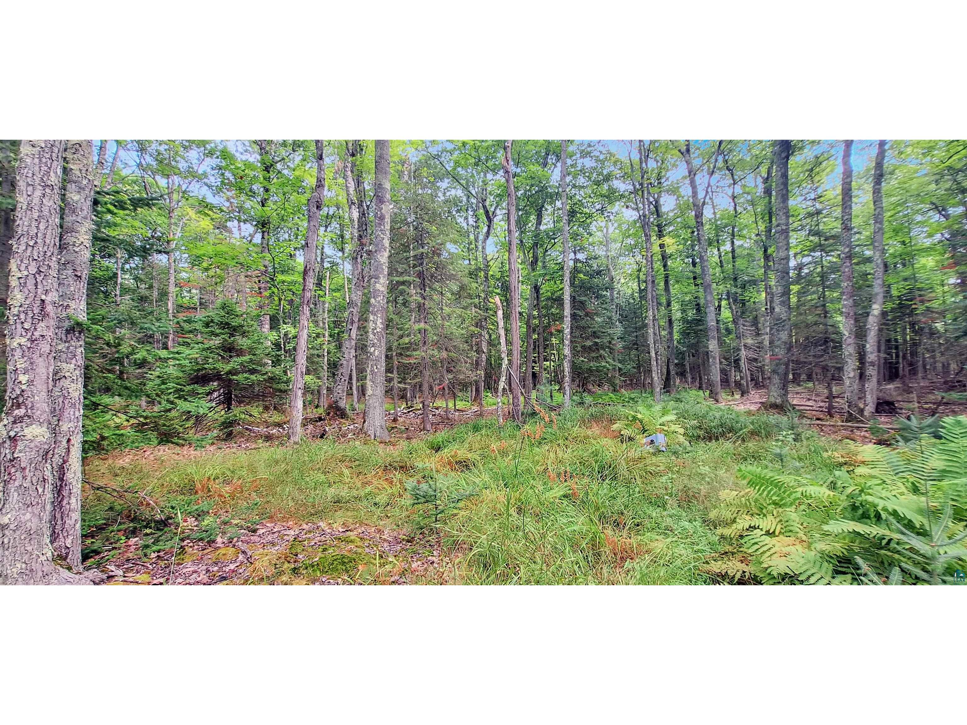 657 Spruce Ln Lapointe WI 54850 - Lake Superior 6124436 image1