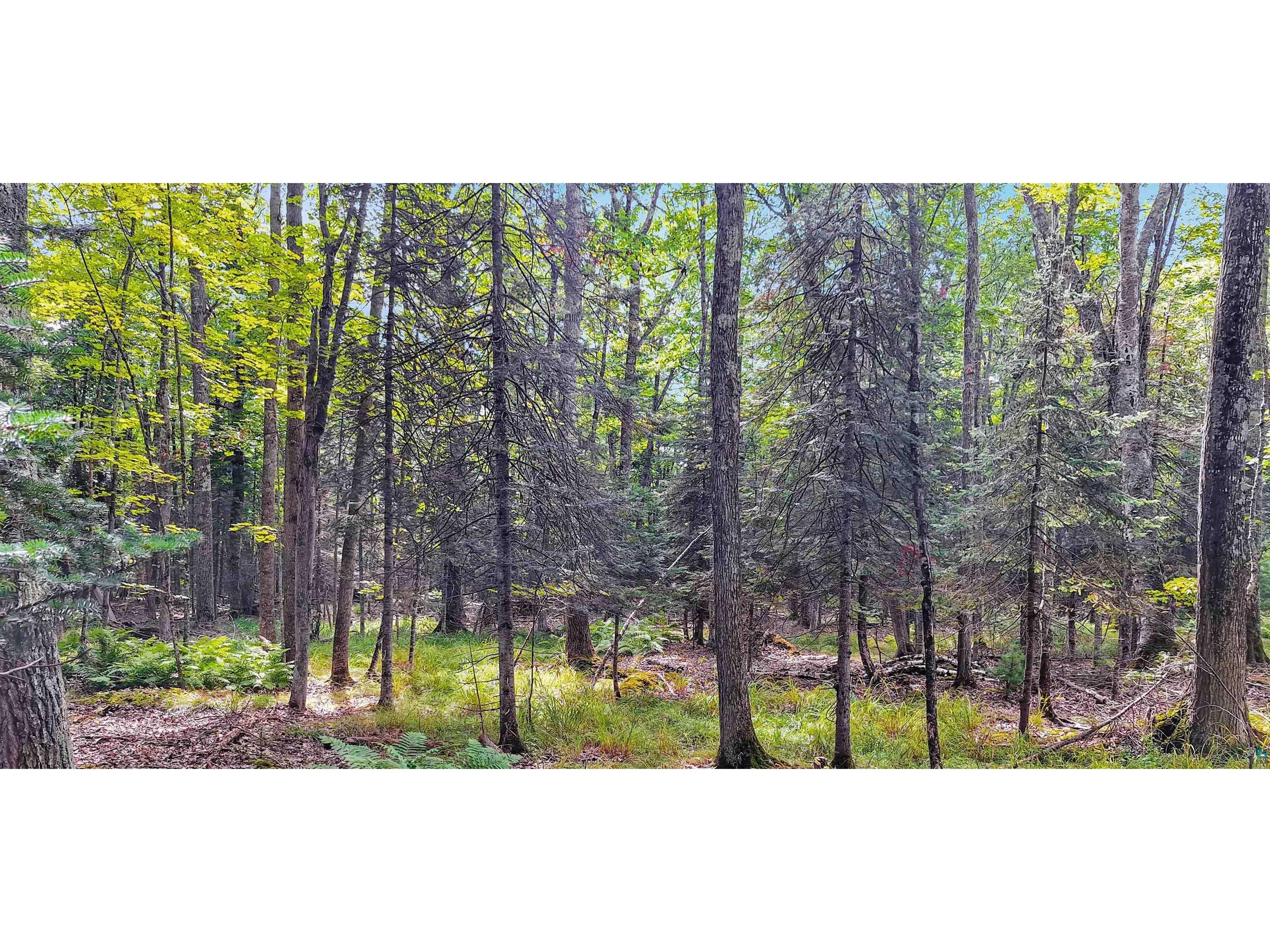 657 Spruce Ln Lapointe WI 54850 - Lake Superior 6124436 image2