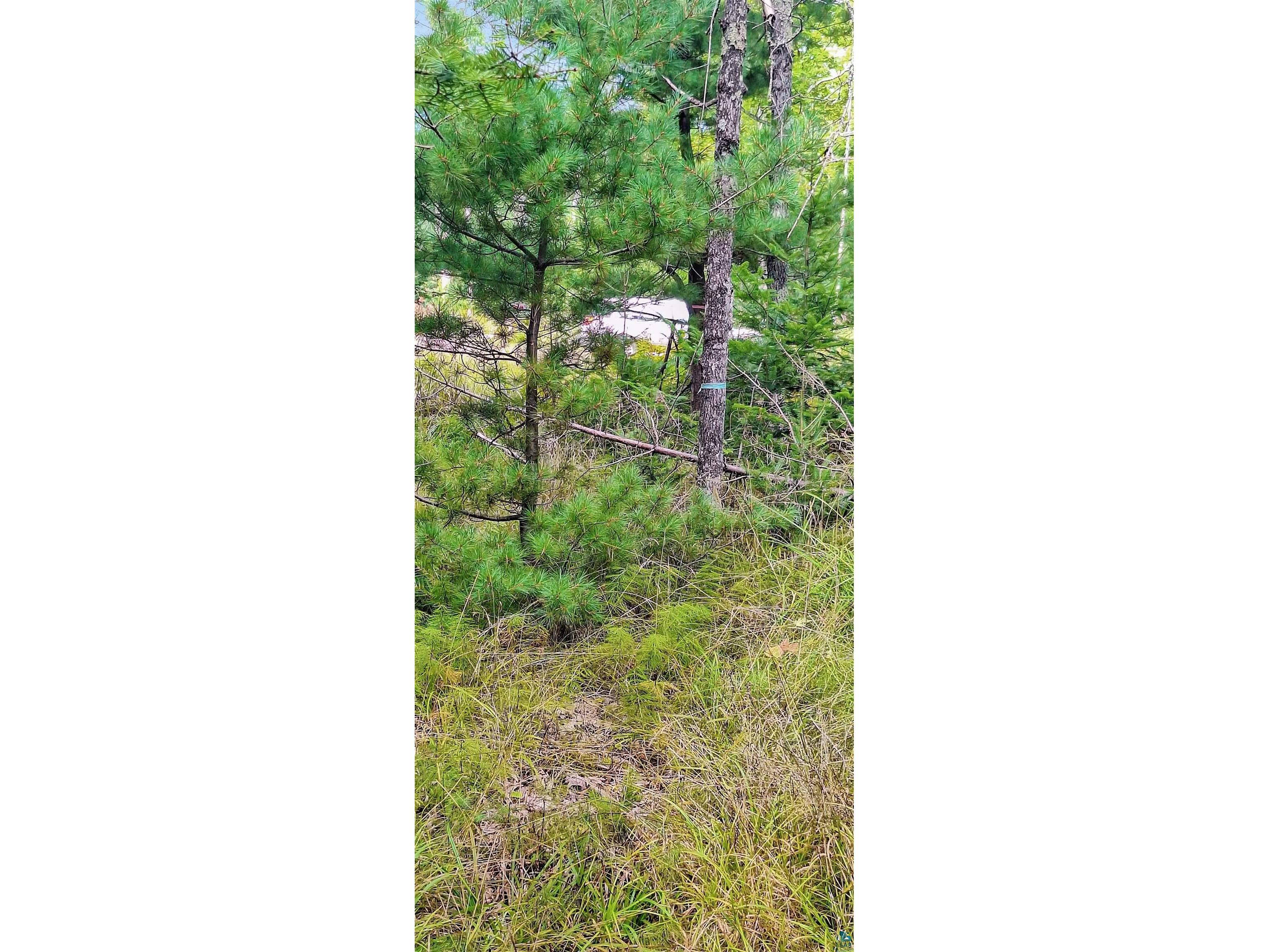 657 Spruce Ln Lapointe WI 54850 - Lake Superior 6124436 image4