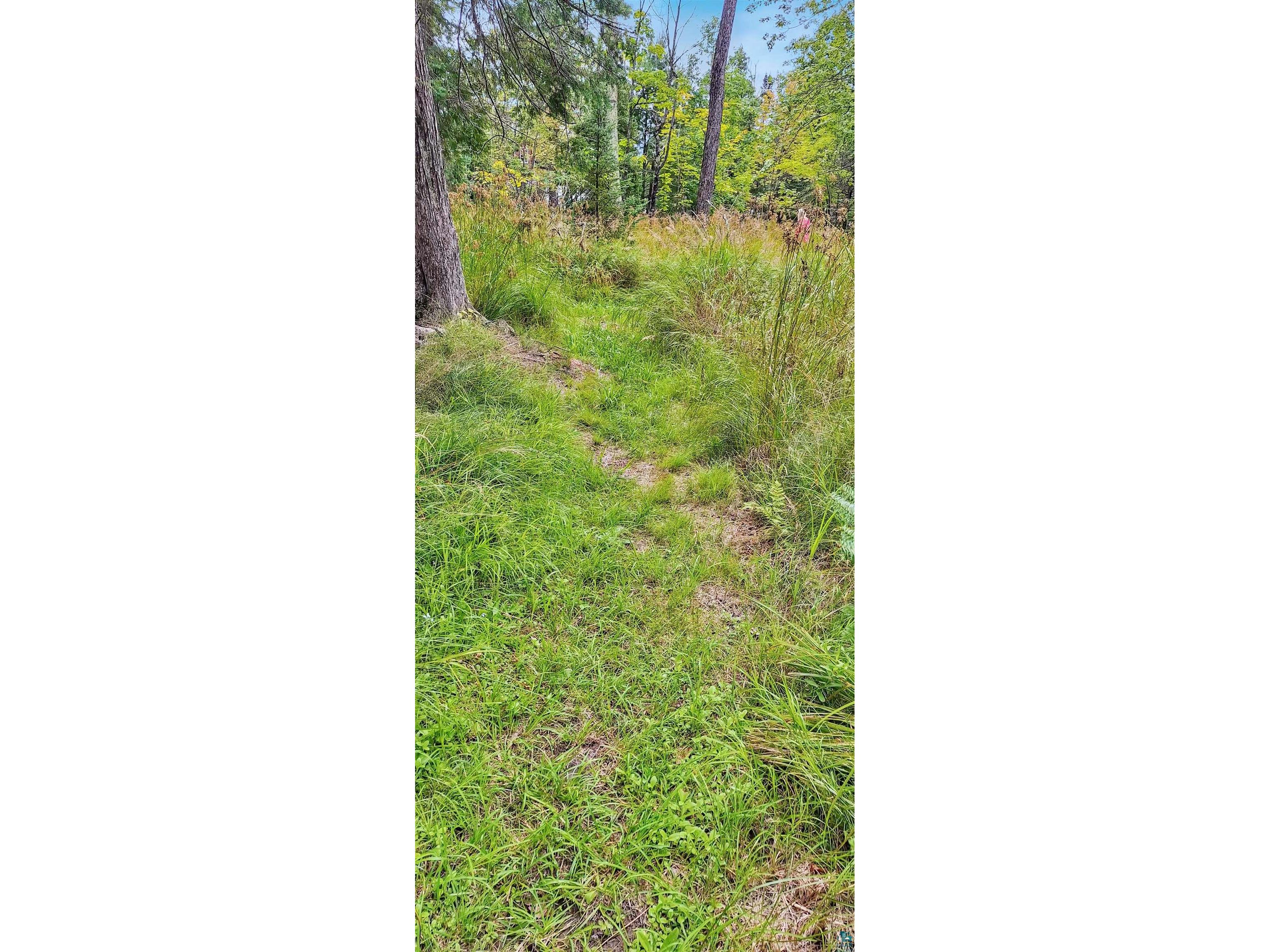 657 Spruce Ln Lapointe WI 54850 - Lake Superior 6124436 image9