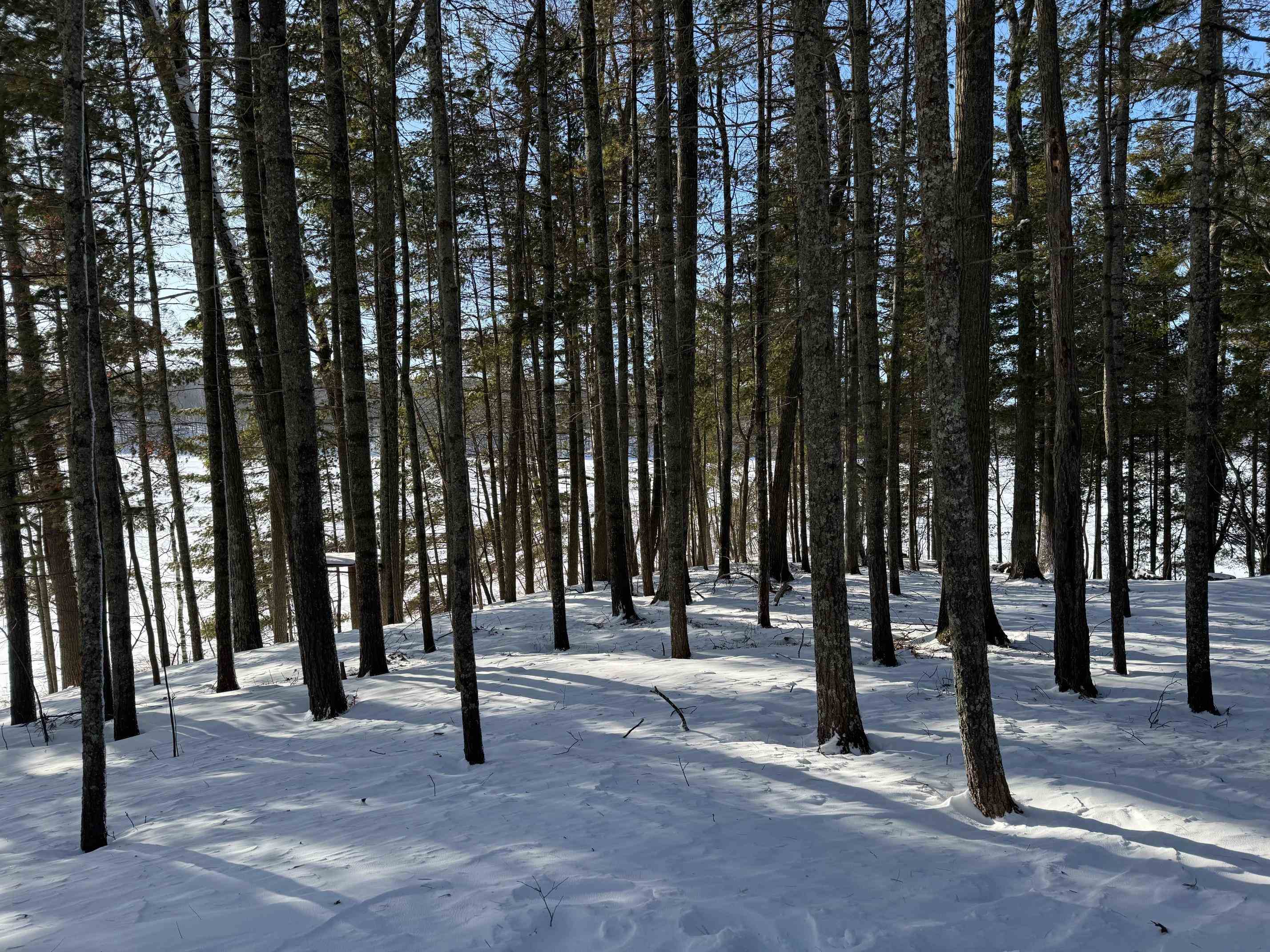 6575 Kolling Rd Iron River WI 54847 - Iron Lake 6123420 image31