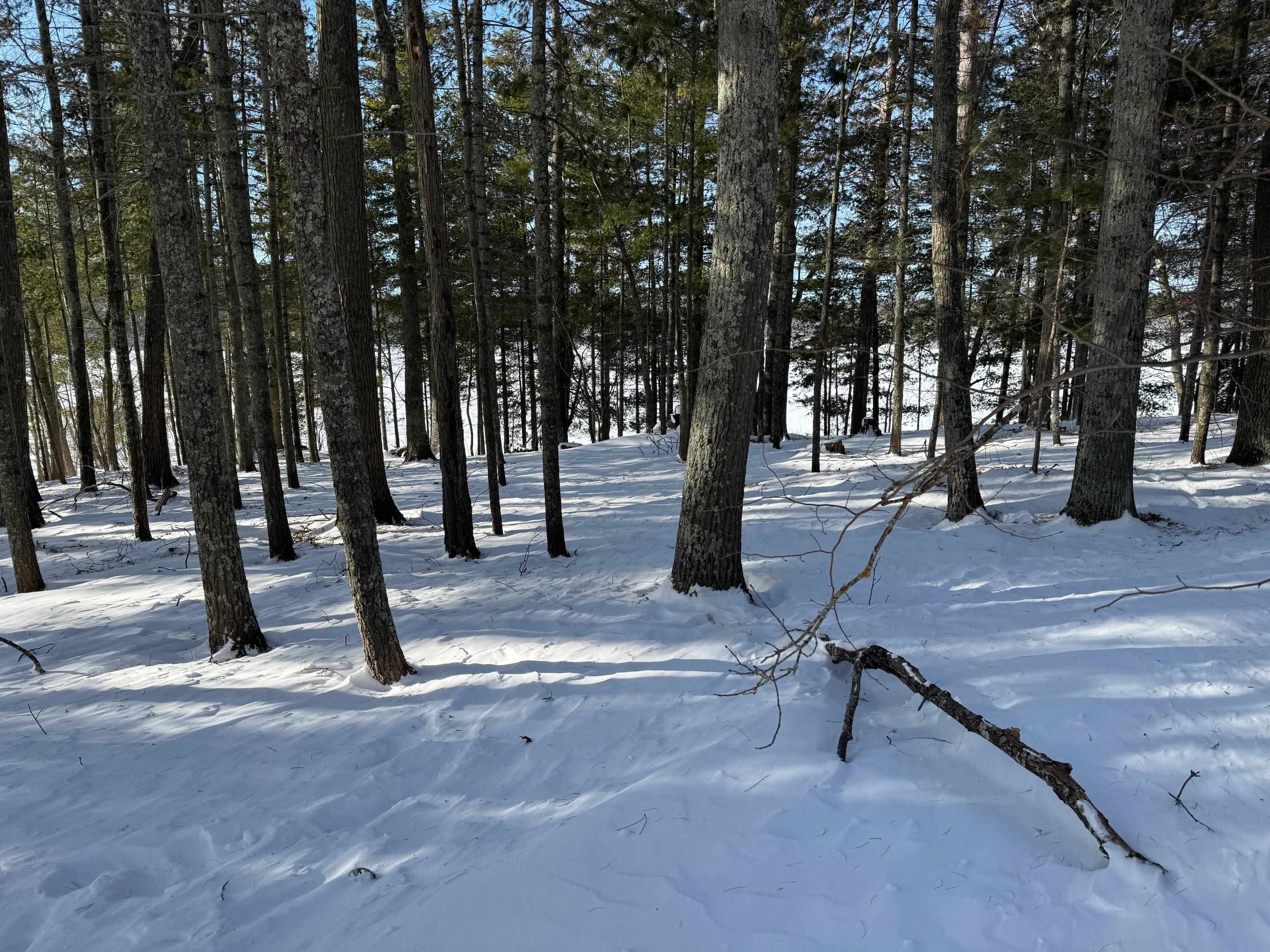 6575 Kolling Rd Iron River WI 54847 - Iron Lake 6123420 image32