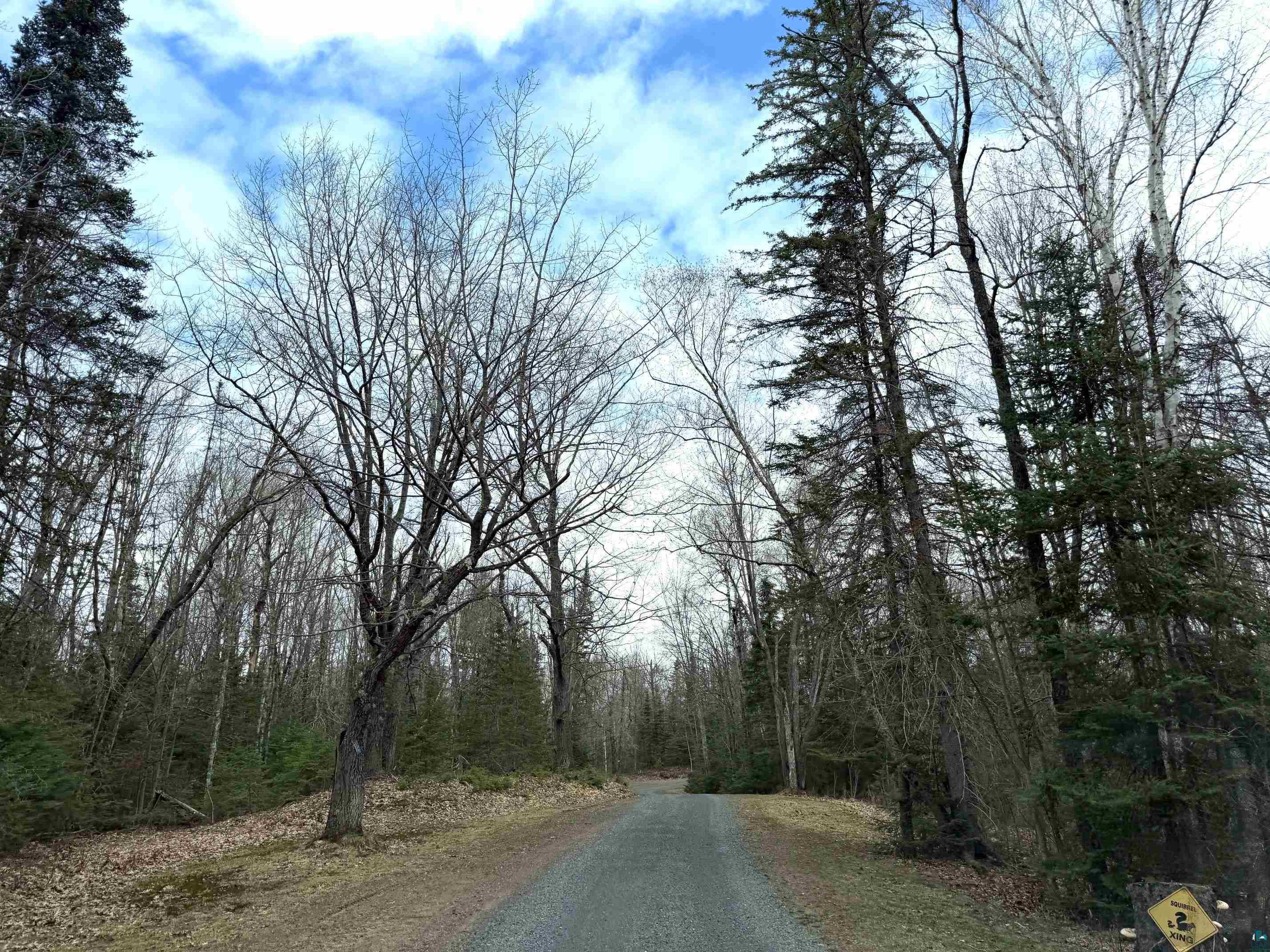 6588 S County Rd P Lake Nebagamon WI 54849 - POND 6124420 image53