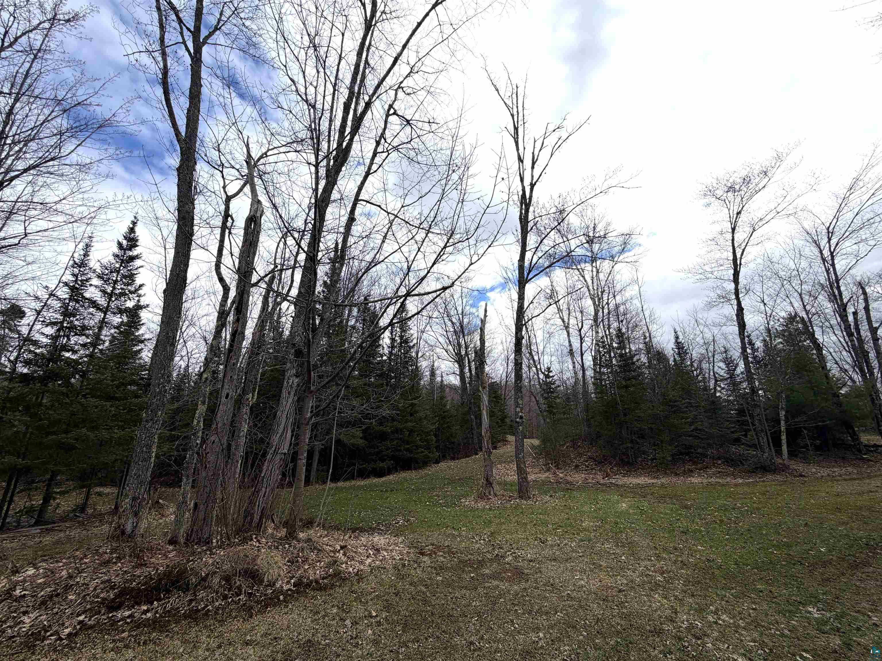 6588 S County Rd P Lake Nebagamon WI 54849 - POND 6124420 image57
