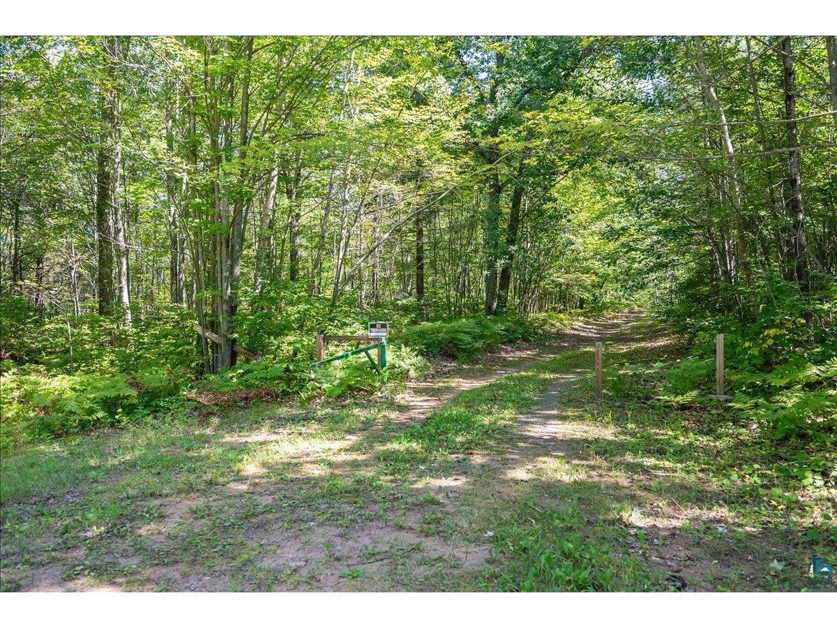 66430 North Point Rd Iron River WI 54847 - Pike 6124101 image17