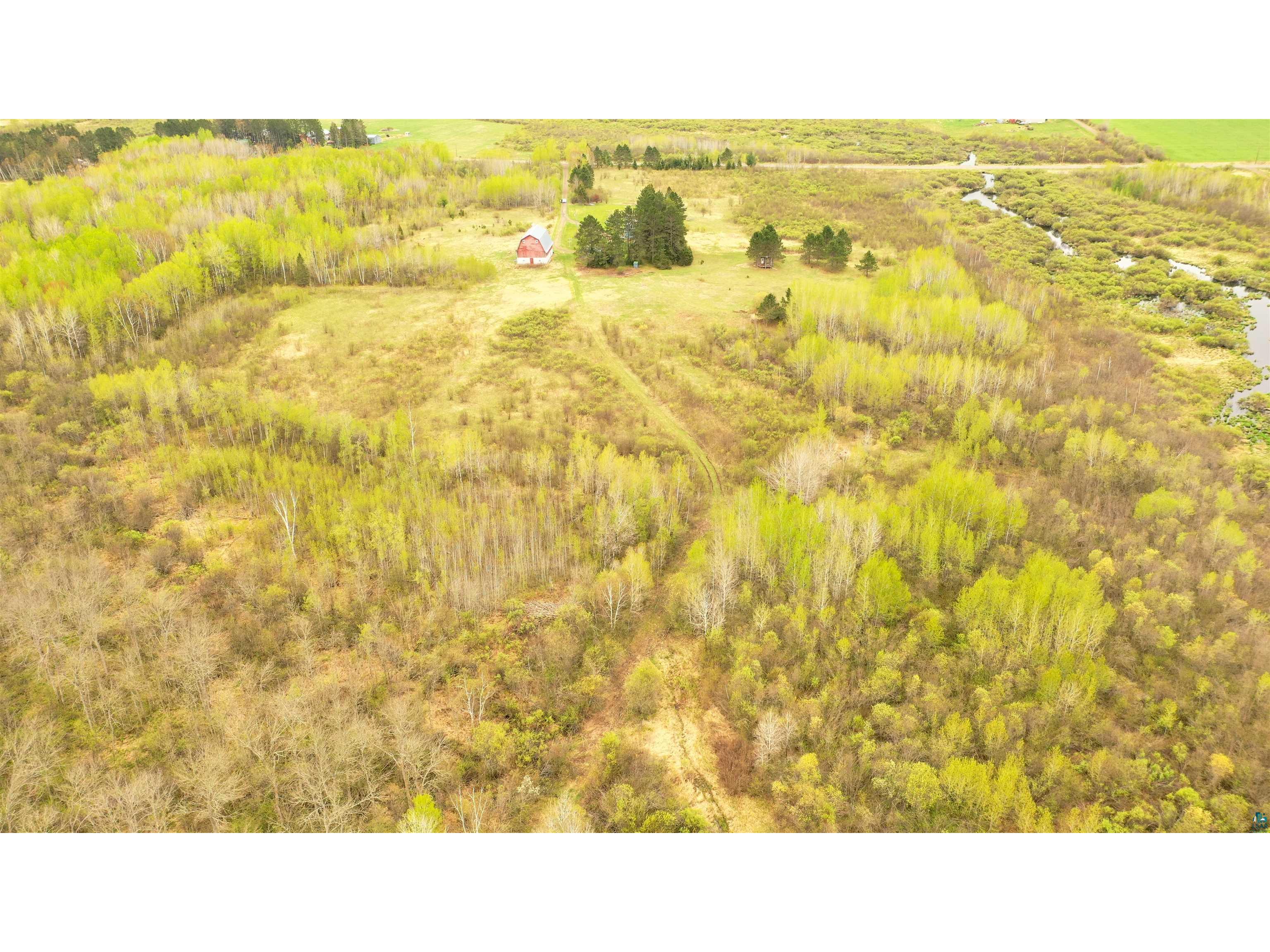 6661 County Rd 6 Kettle River MN 55757 - Dead Moose 6125363 image33