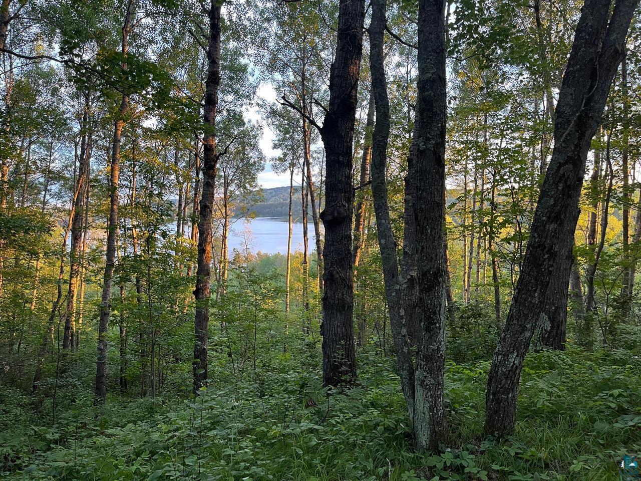 6661 Voyageurs Tr Biwabik MN 55705 6125925 image28