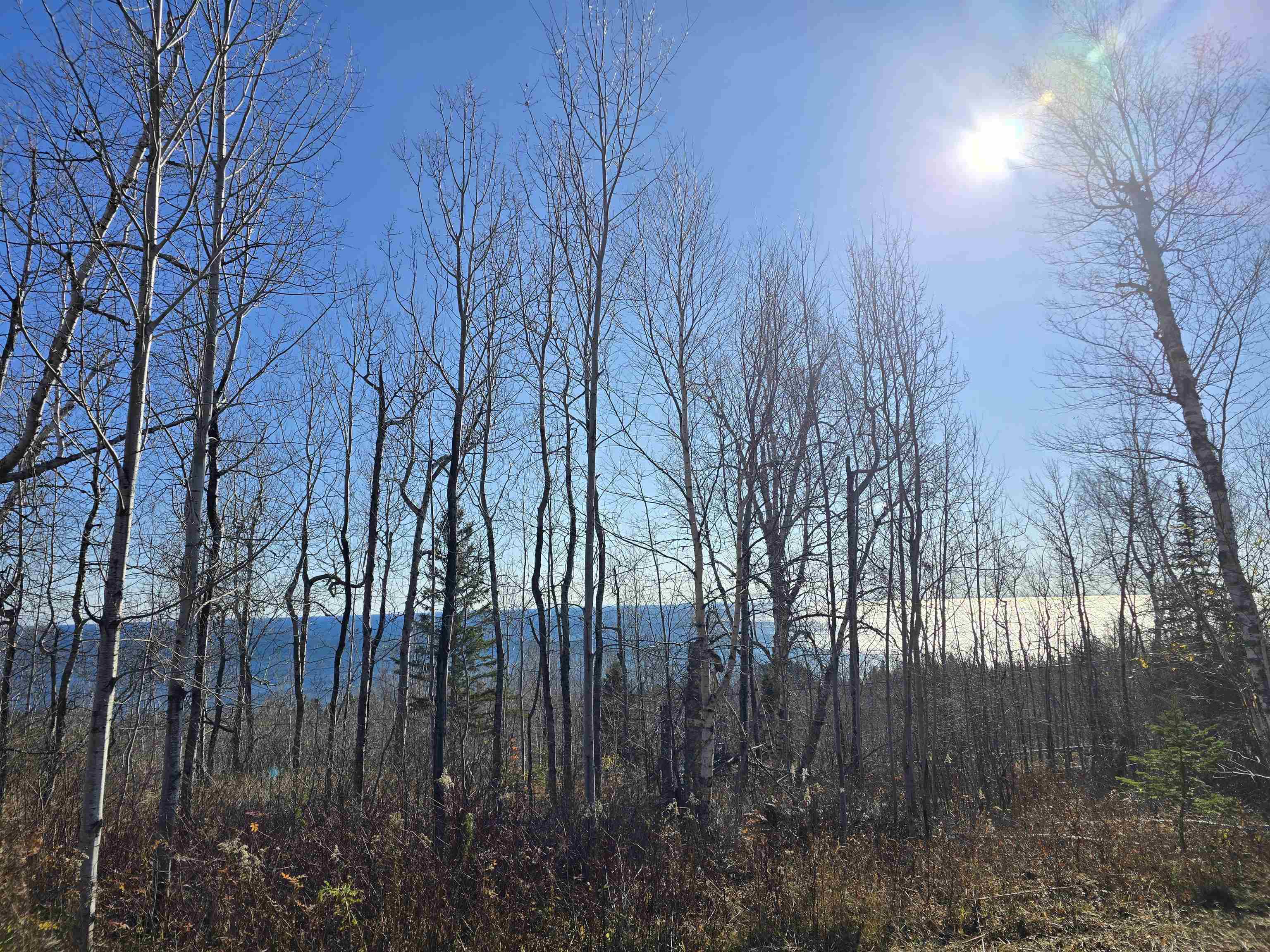 6669 Little Marais Trl Silver Bay MN 55614 6122918 image1