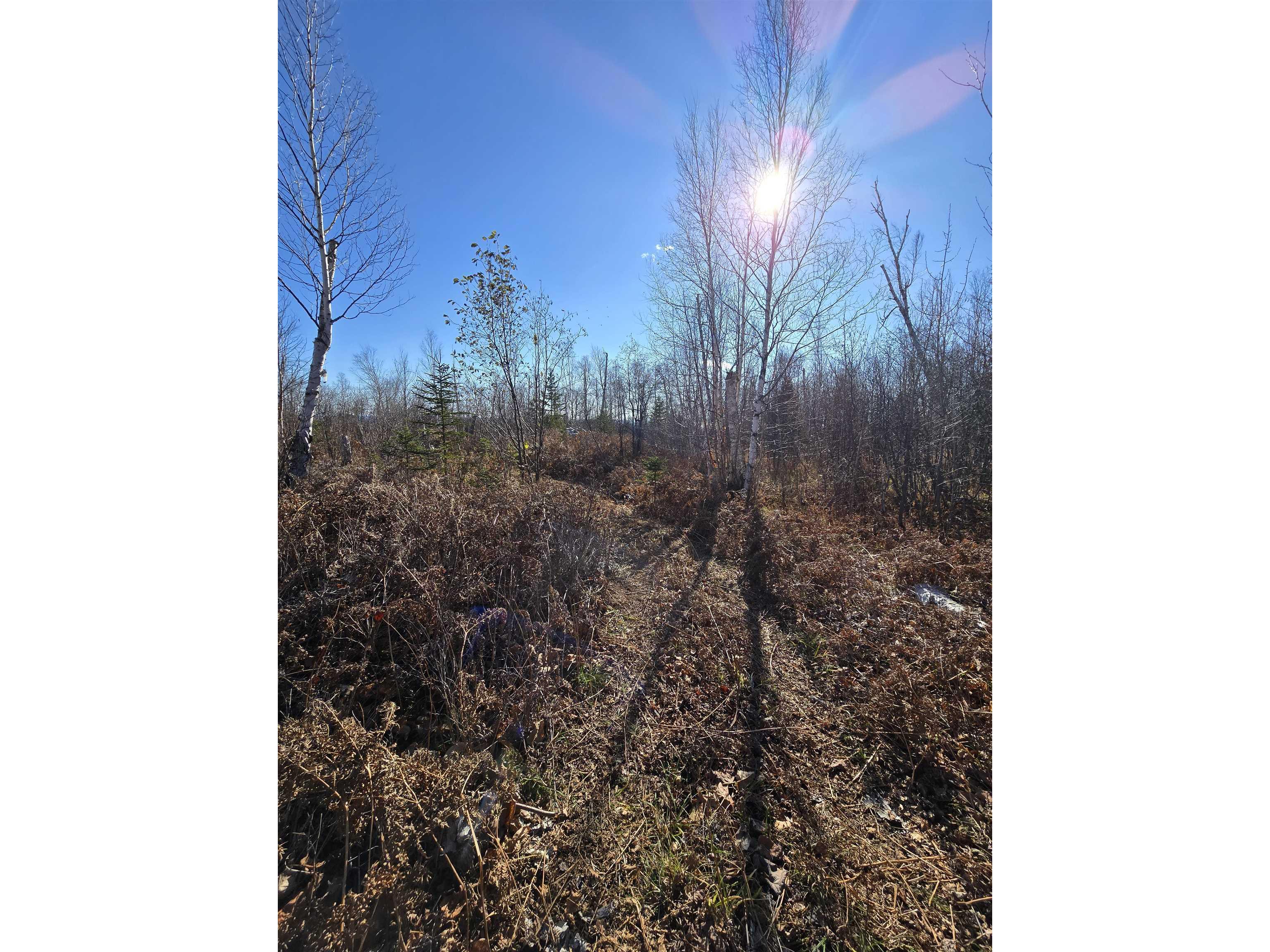 6669 Little Marais Trl Silver Bay MN 55614 6122918 image15