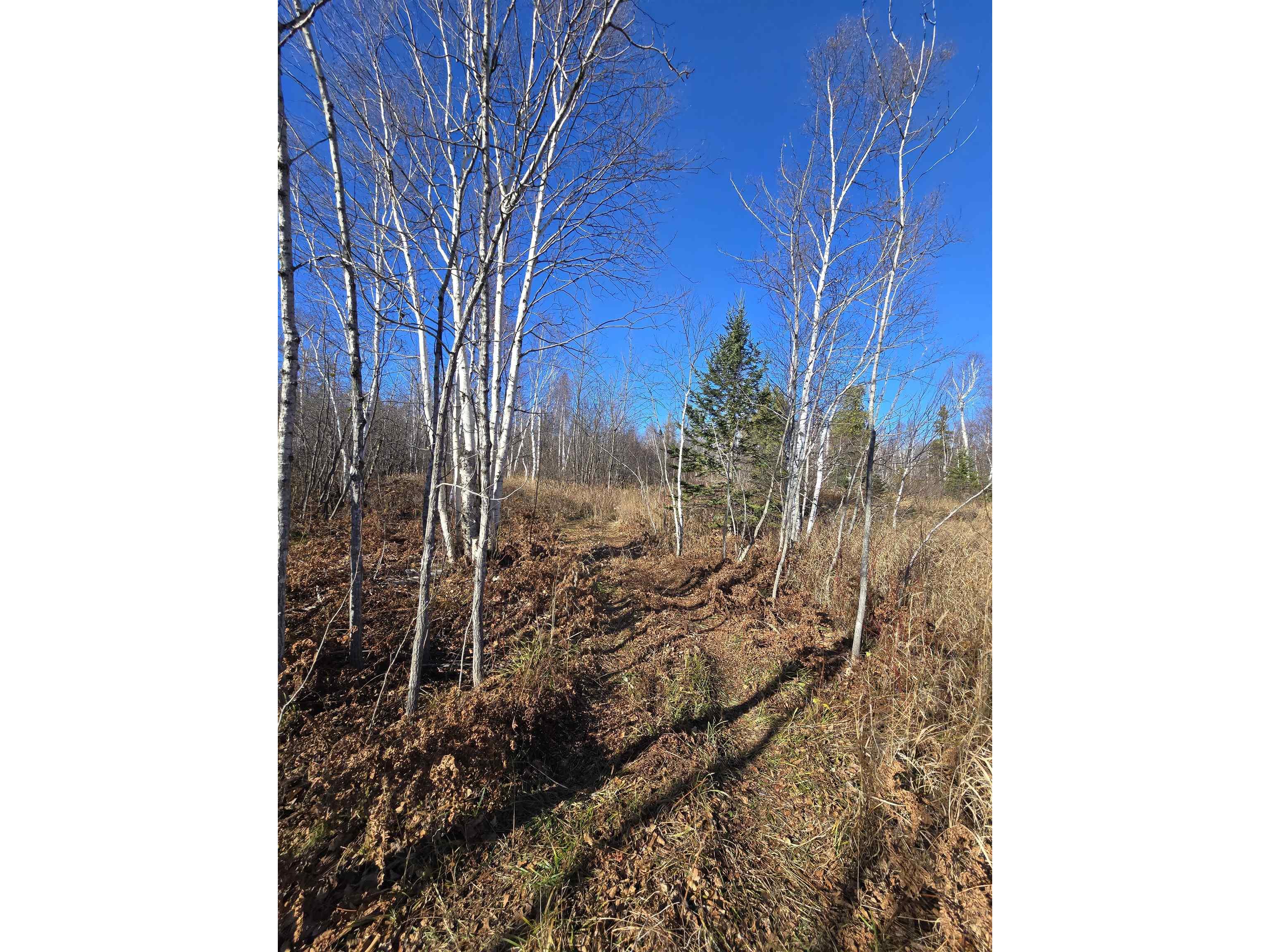 6669 Little Marais Trl Silver Bay MN 55614 6122918 image16