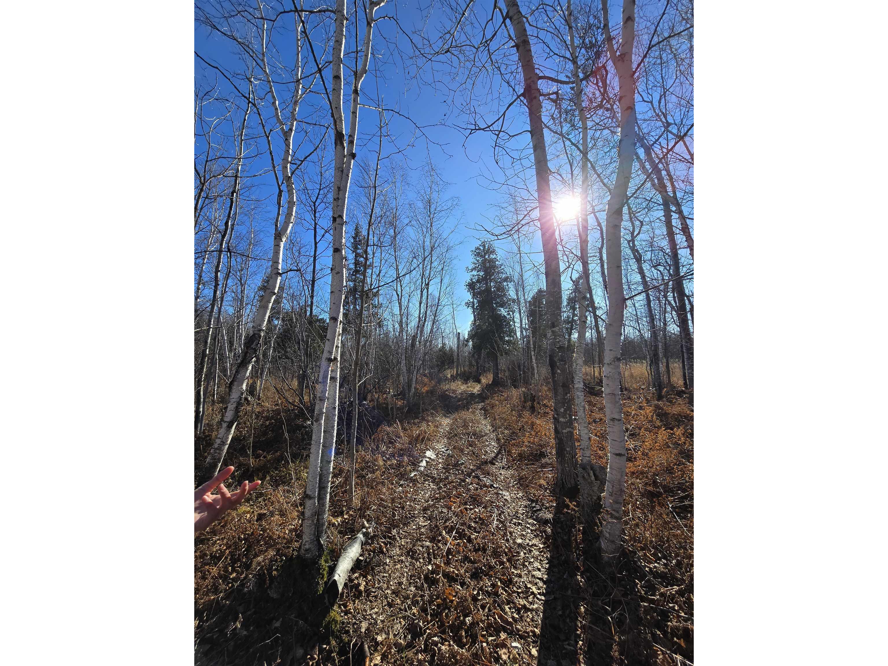 6669 Little Marais Trl Silver Bay MN 55614 6122918 image17