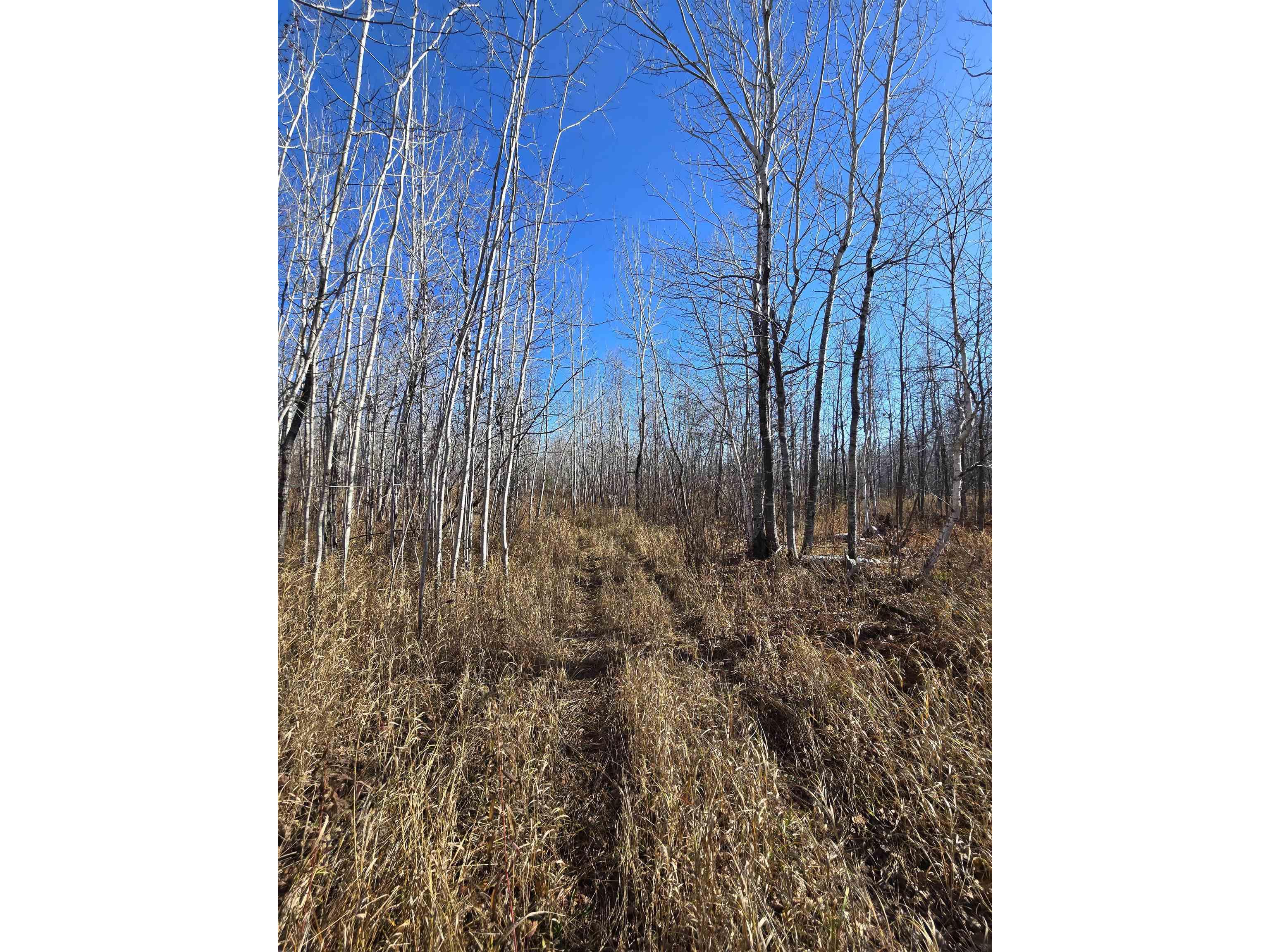 6669 Little Marais Trl Silver Bay MN 55614 6122918 image18