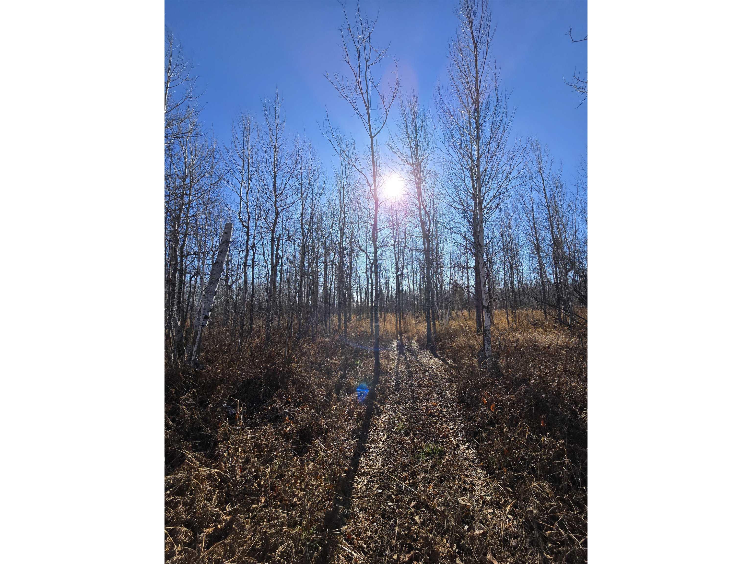 6669 Little Marais Trl Silver Bay MN 55614 6122918 image19