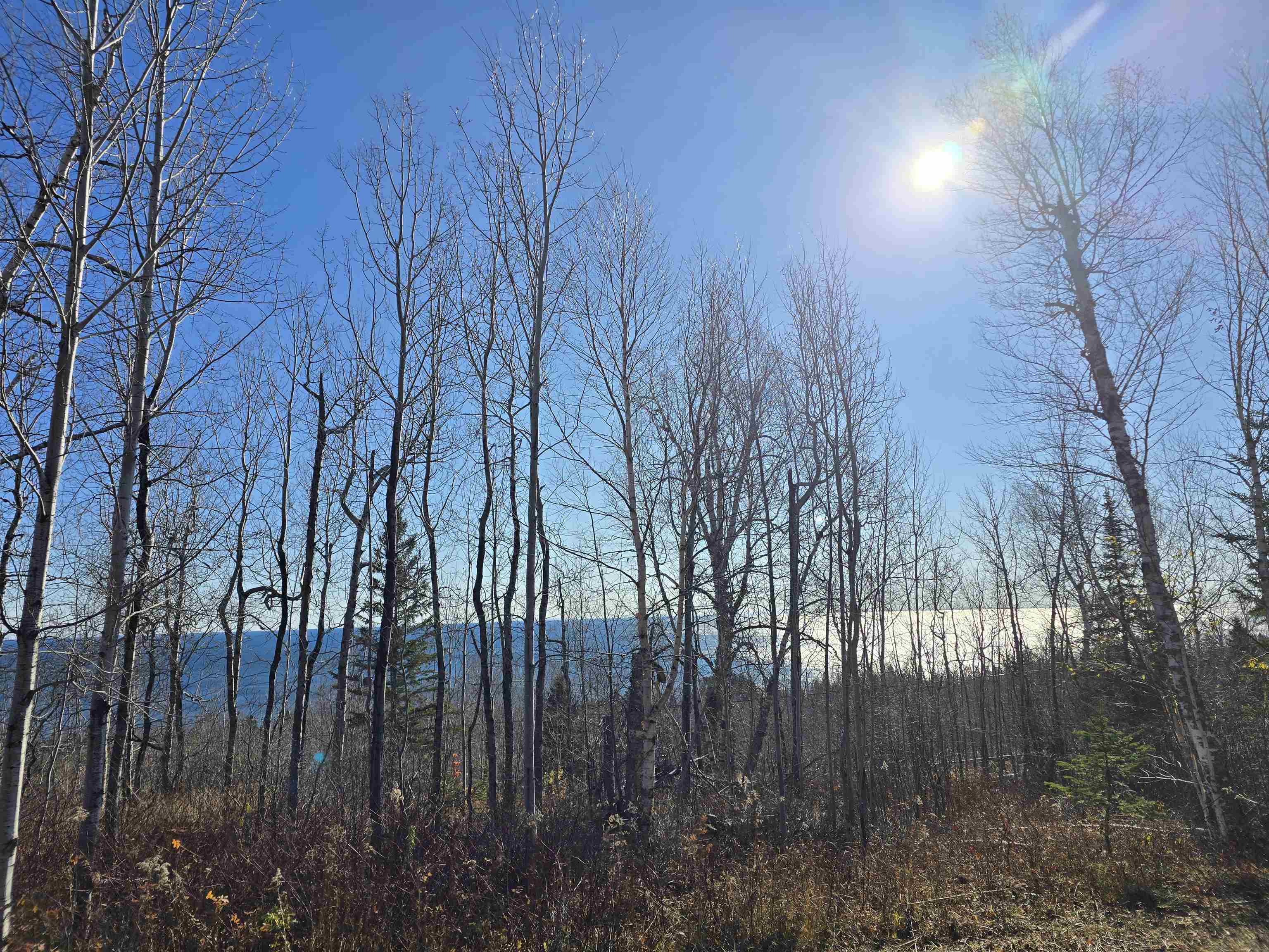 6669 Little Marais Trl Silver Bay MN 55614 6122918 image5