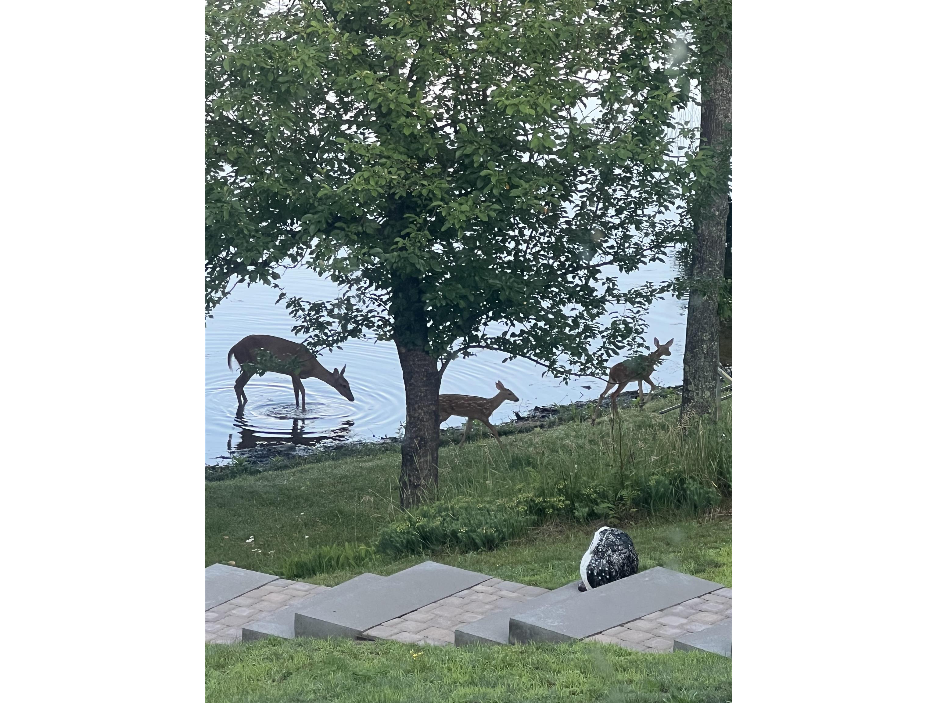 66895 S Spider Lake Rd Iron River WI 54847 - Spider Lake 6123145 image45