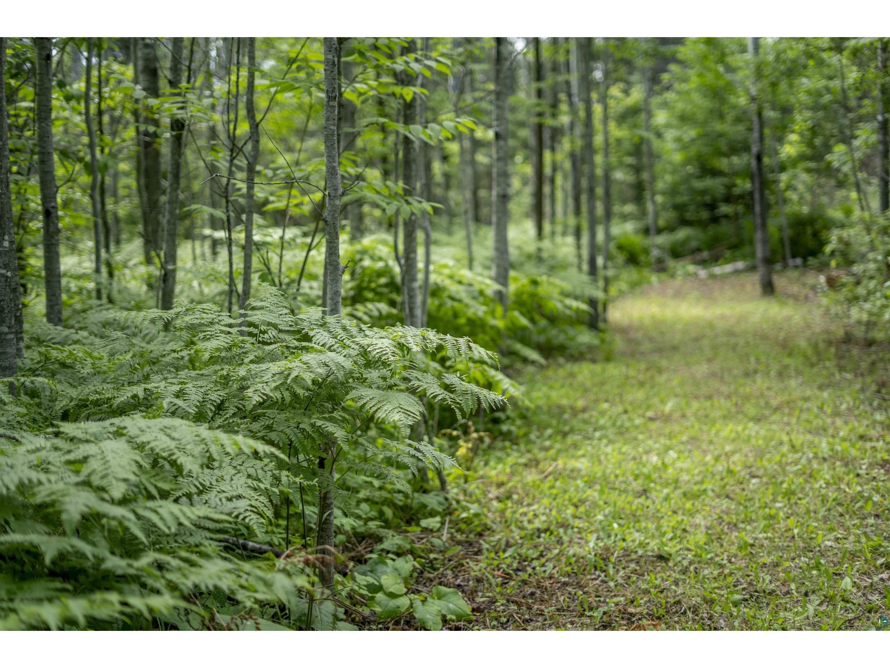 67 County Rd 44 Grand Marais MN 55604 - Cutface 6114387 image1