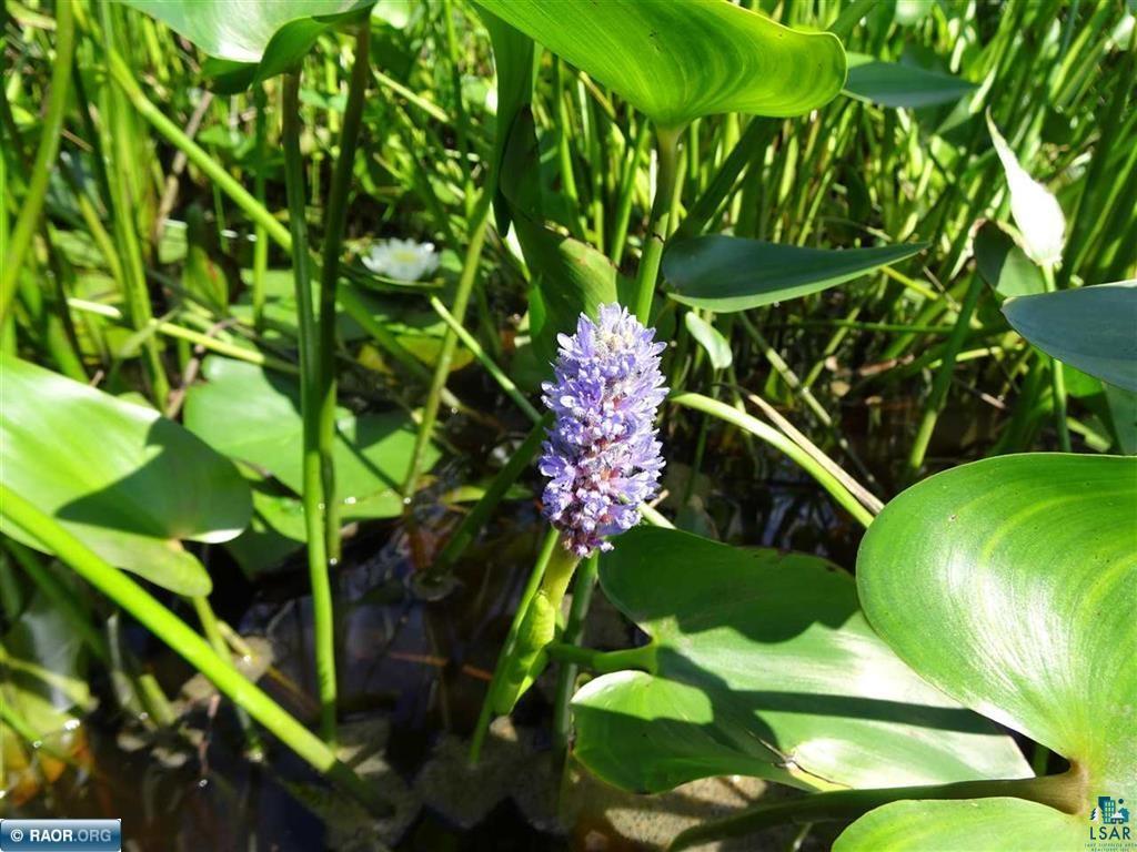 6701 Koski Rd Tower MN 55790 - Pike River 6115587 image13