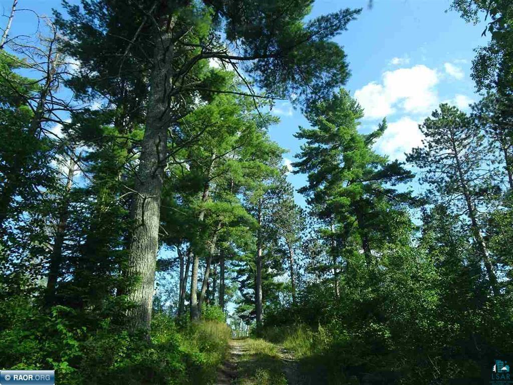 6701 Koski Rd Tower MN 55790 - Pike River 6115587 image22