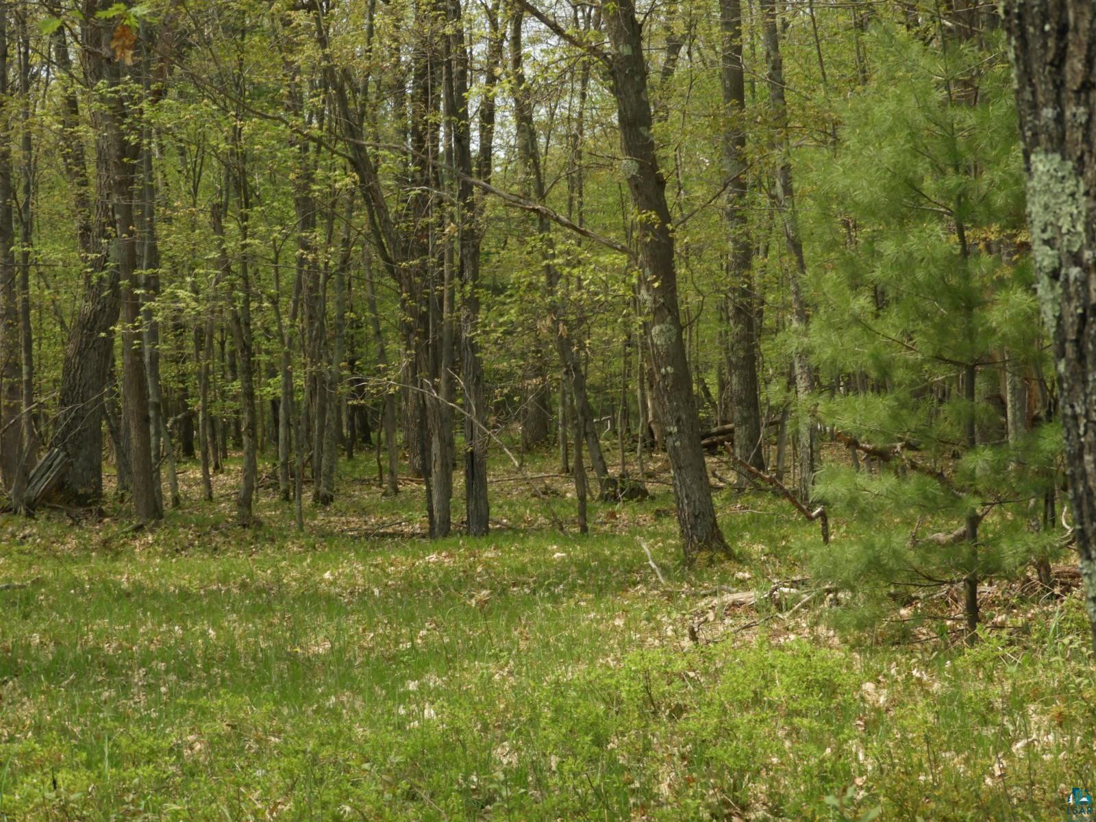 6726X E Deep Lake Rd Iron River WI 54847 - Mud Lake 6108223 image2