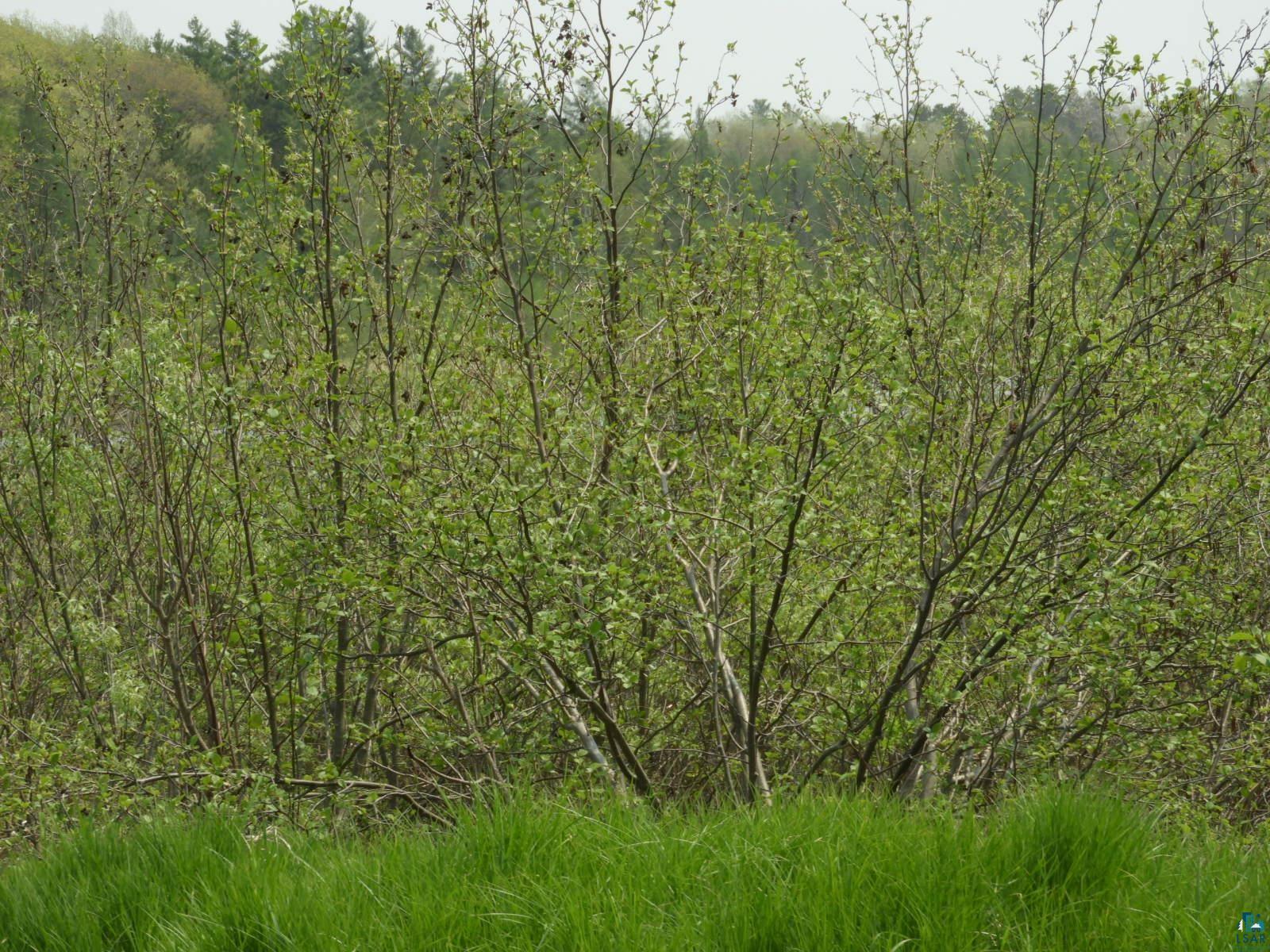 6726X E Deep Lake Rd Iron River WI 54847 - Mud Lake 6108223 image3