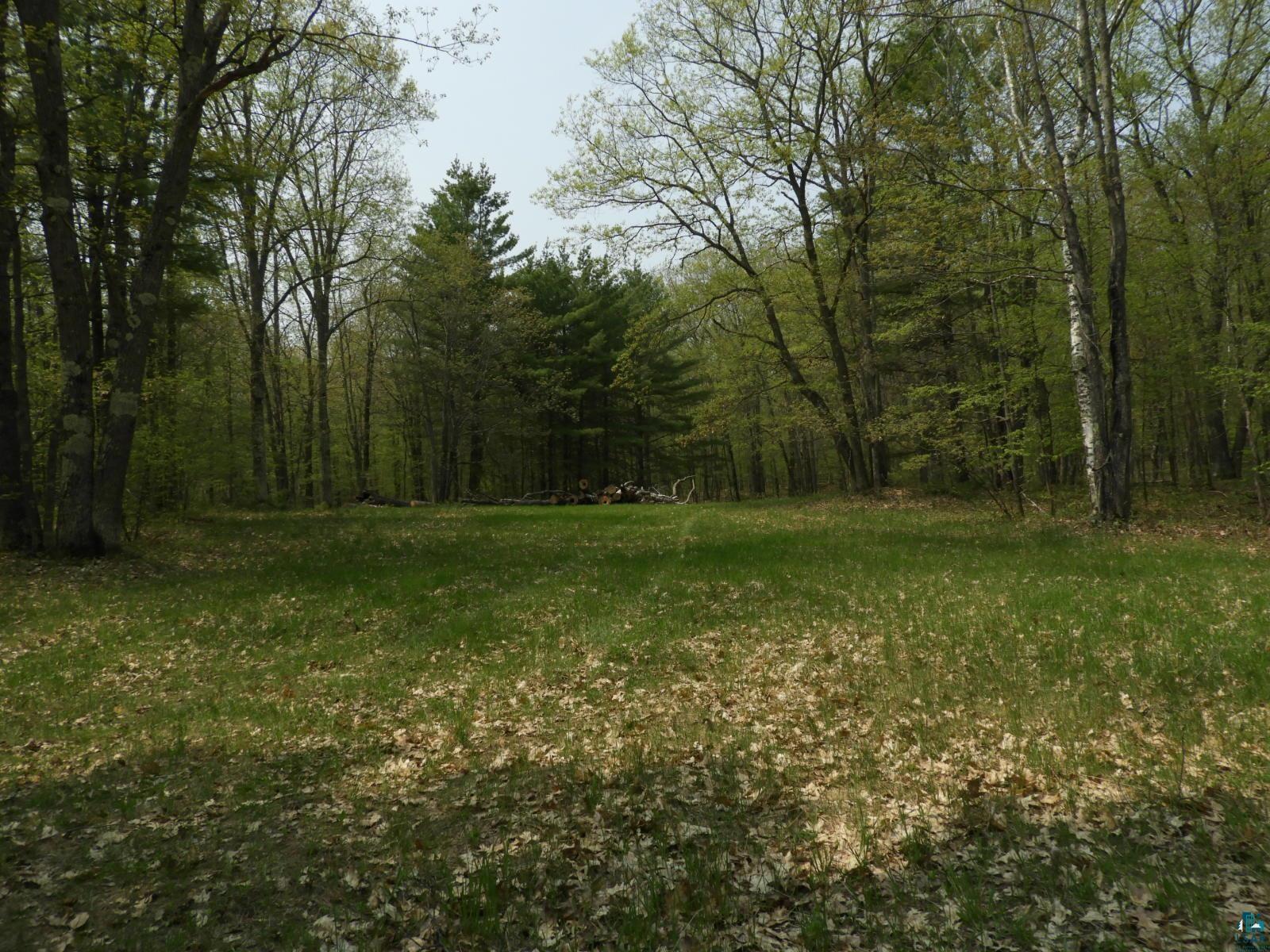 6726X E Deep Lake Rd Iron River WI 54847 - Mud Lake 6108223 image5