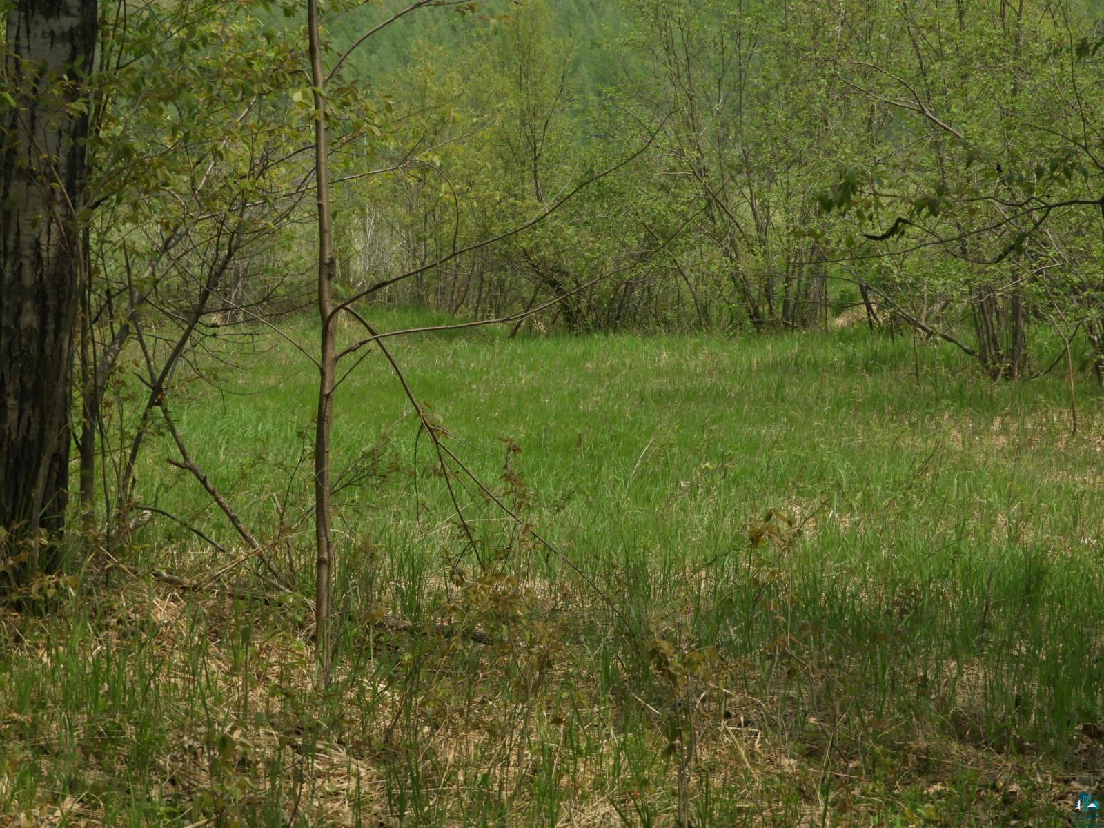 6726X E Deep Lake Rd Iron River WI 54847 - Mud Lake 6108223 image7