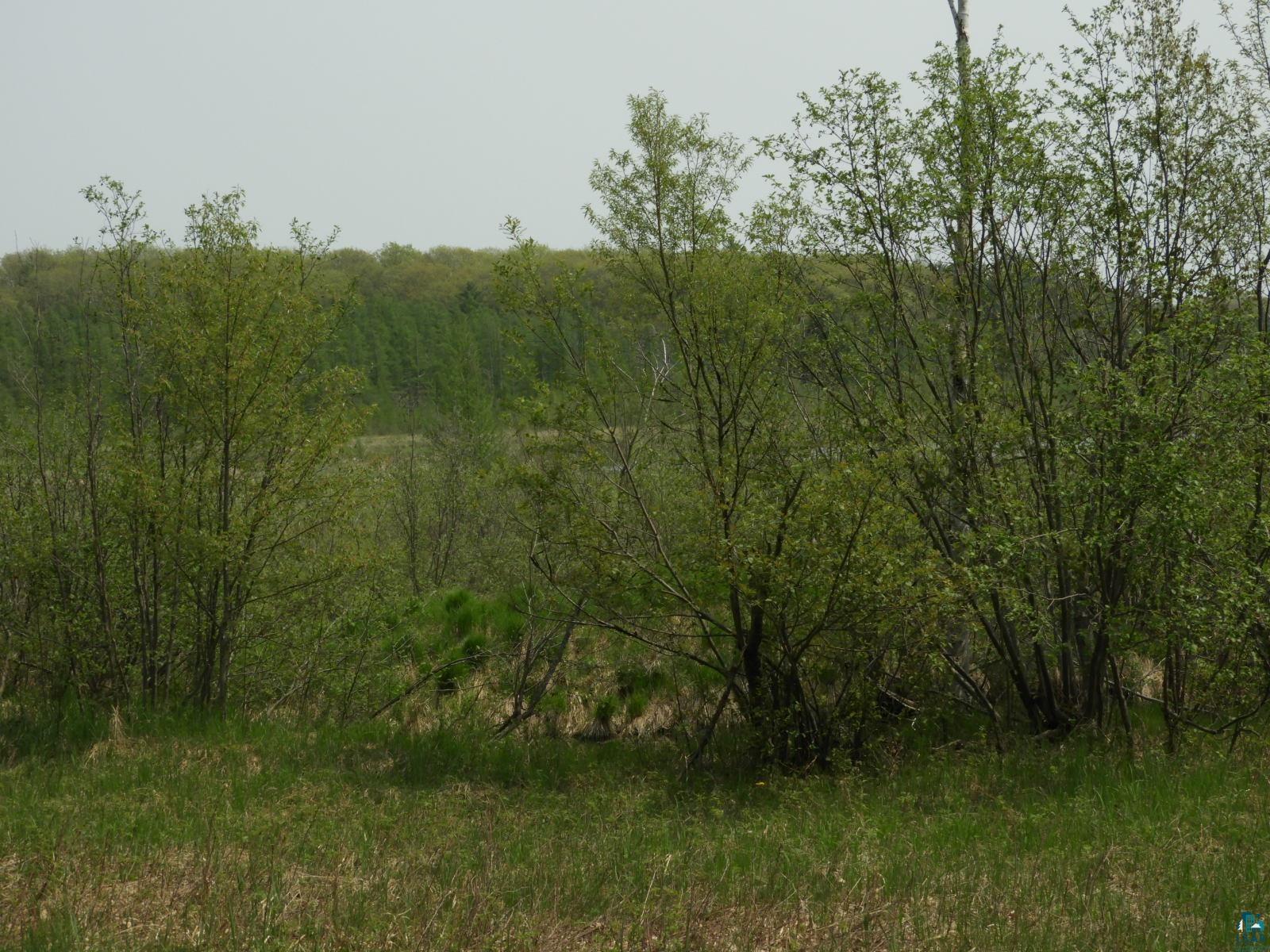 6726X E Deep Lake Rd Iron River WI 54847 - Mud Lake 6108223 image8