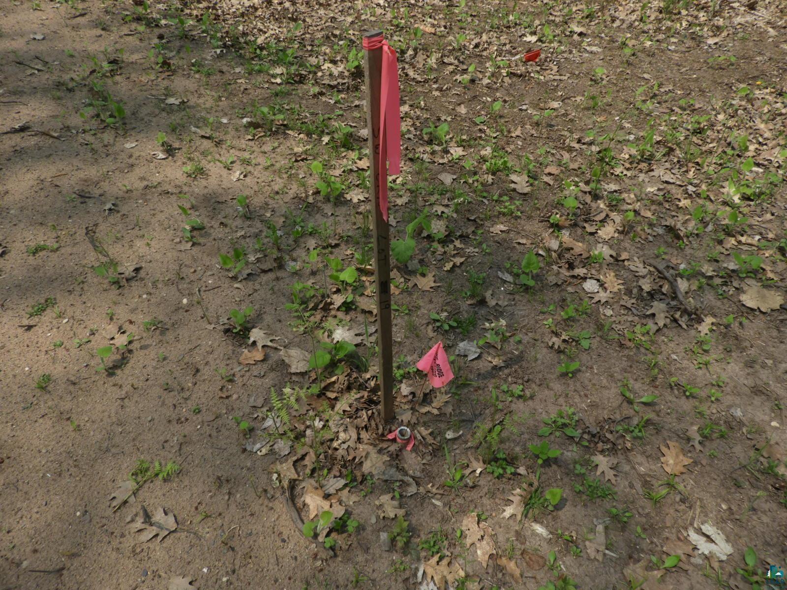 672XX E Deep Lake Rd Iron River WI 54847 6108221 image2