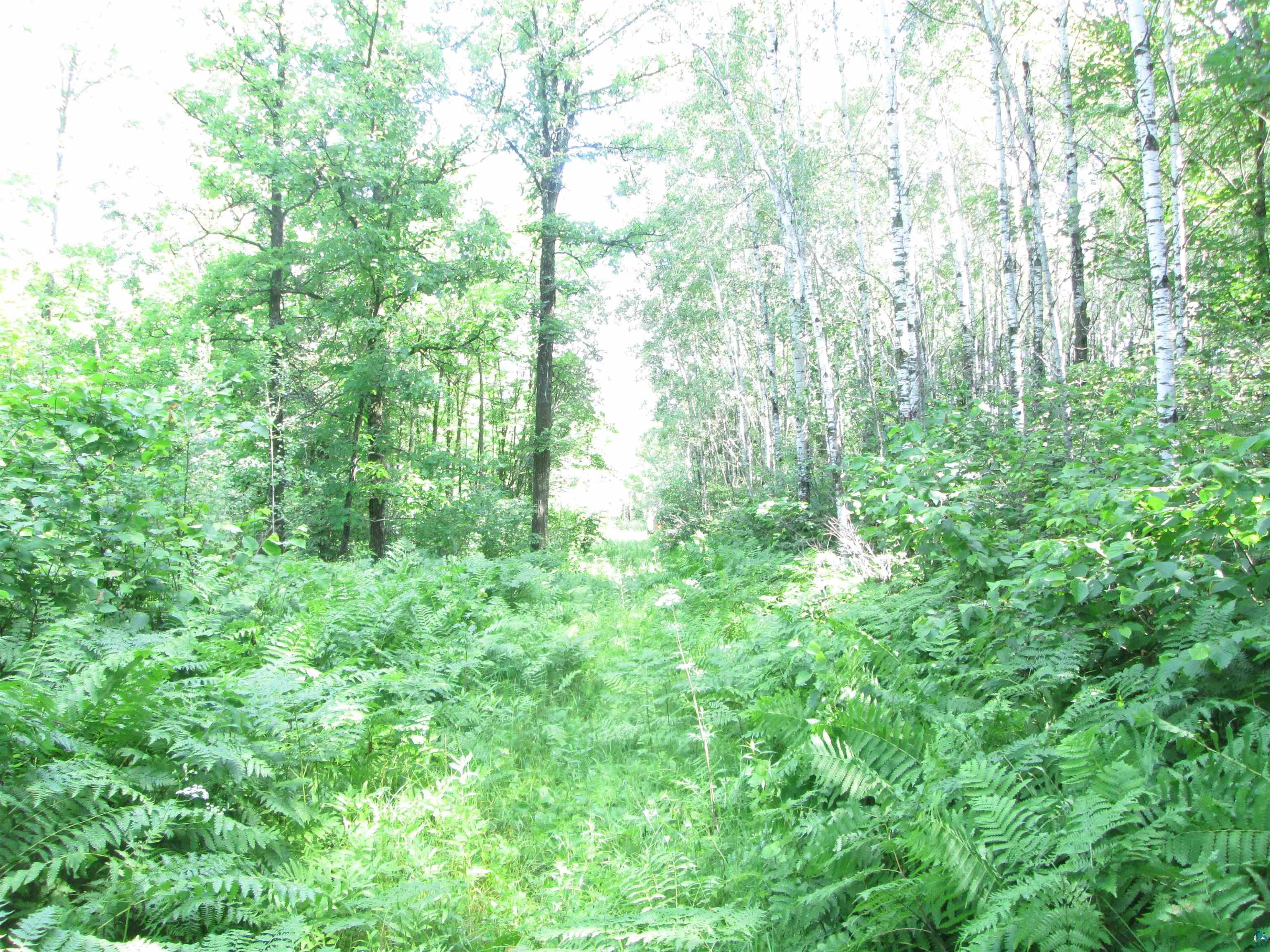 6810 Northeast Rd Wright MN 55798 - Little Tamarack 6126624 image10