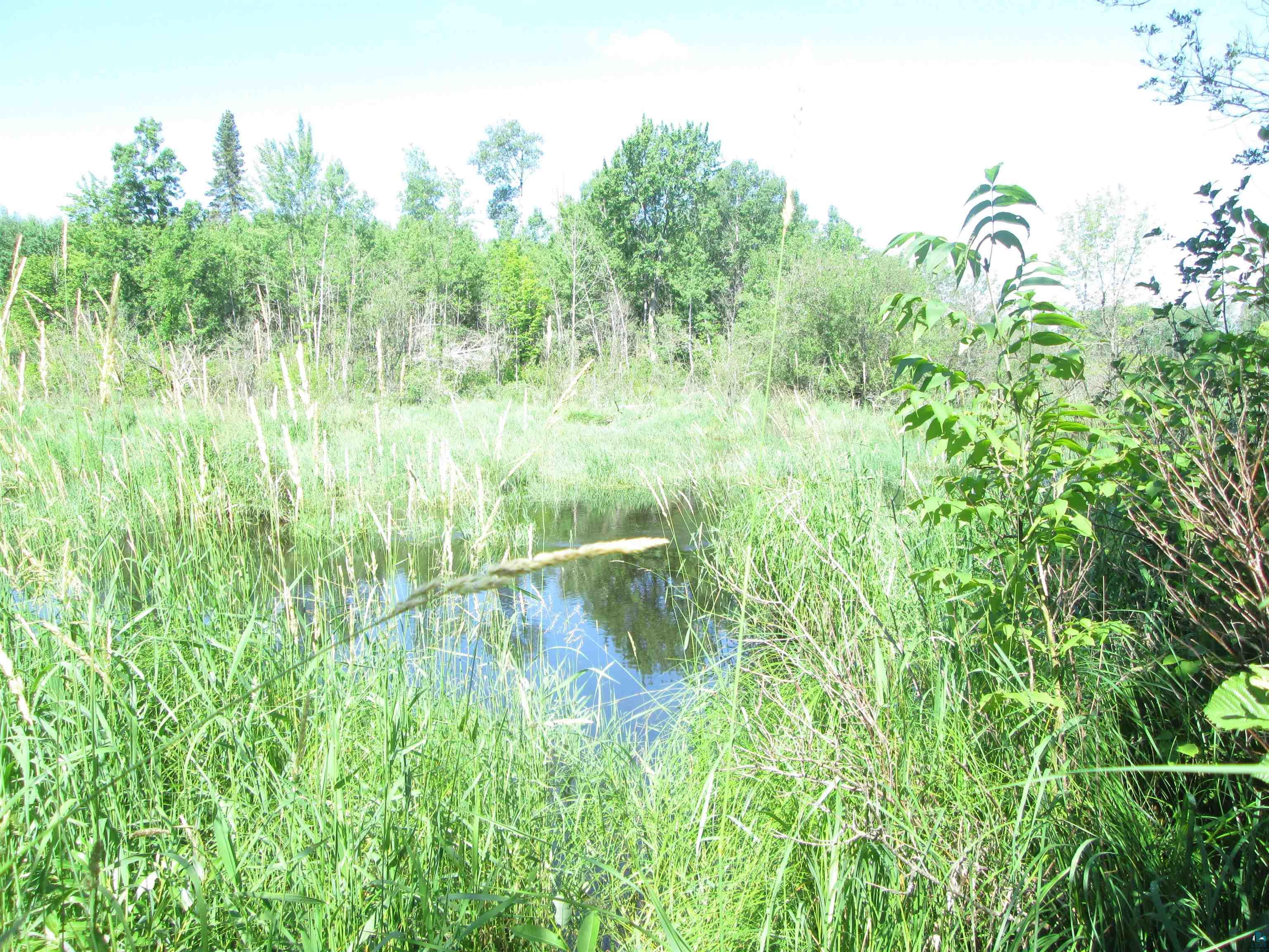 6810 Northeast Rd Wright MN 55798 - Little Tamarack 6126624 image14