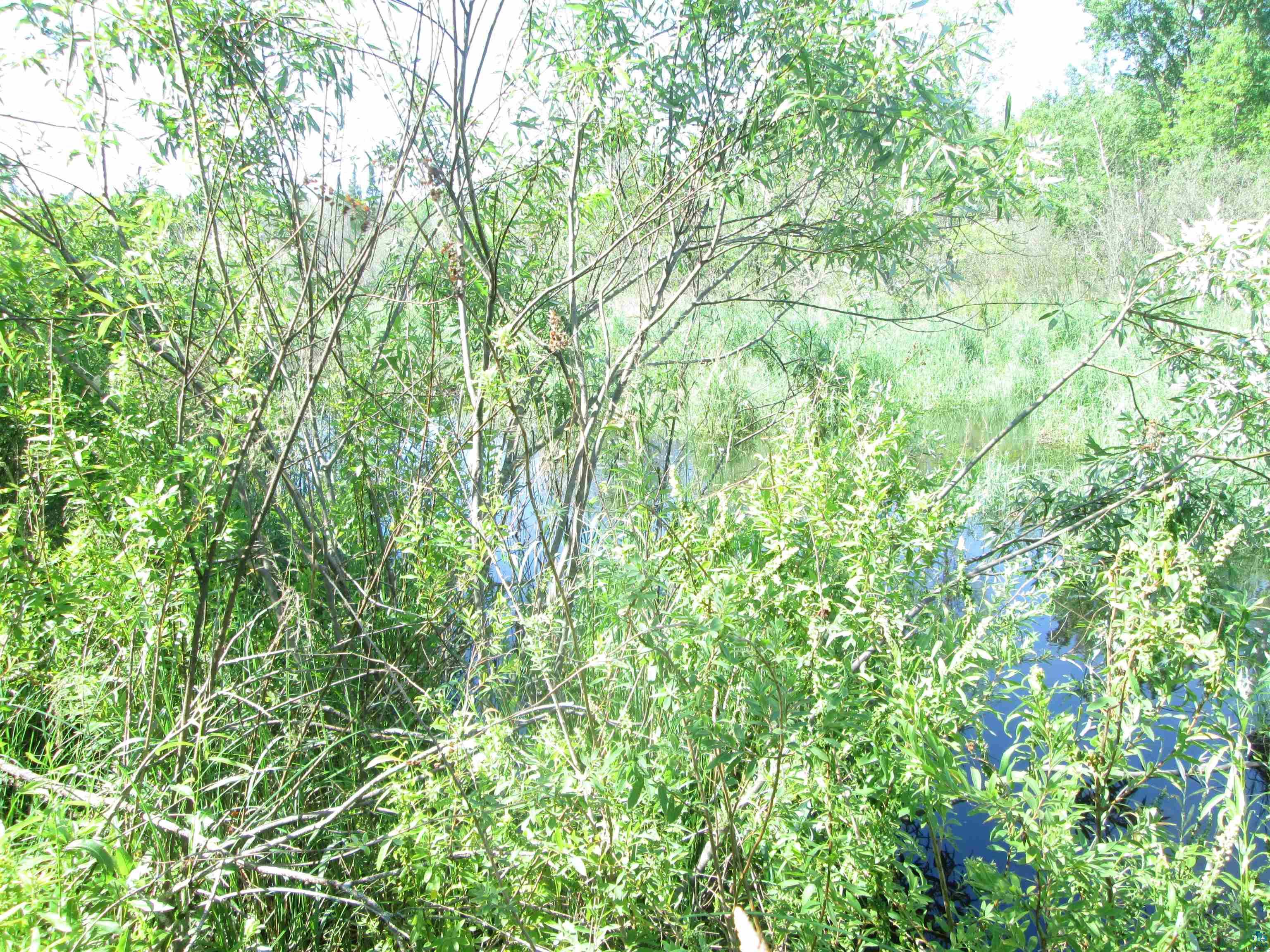 6810 Northeast Rd Wright MN 55798 - Little Tamarack 6126624 image16